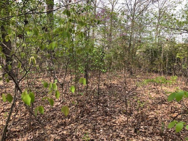 Photo 7 - Land for sale – 120  Silver Oak Way  Branson West, MO