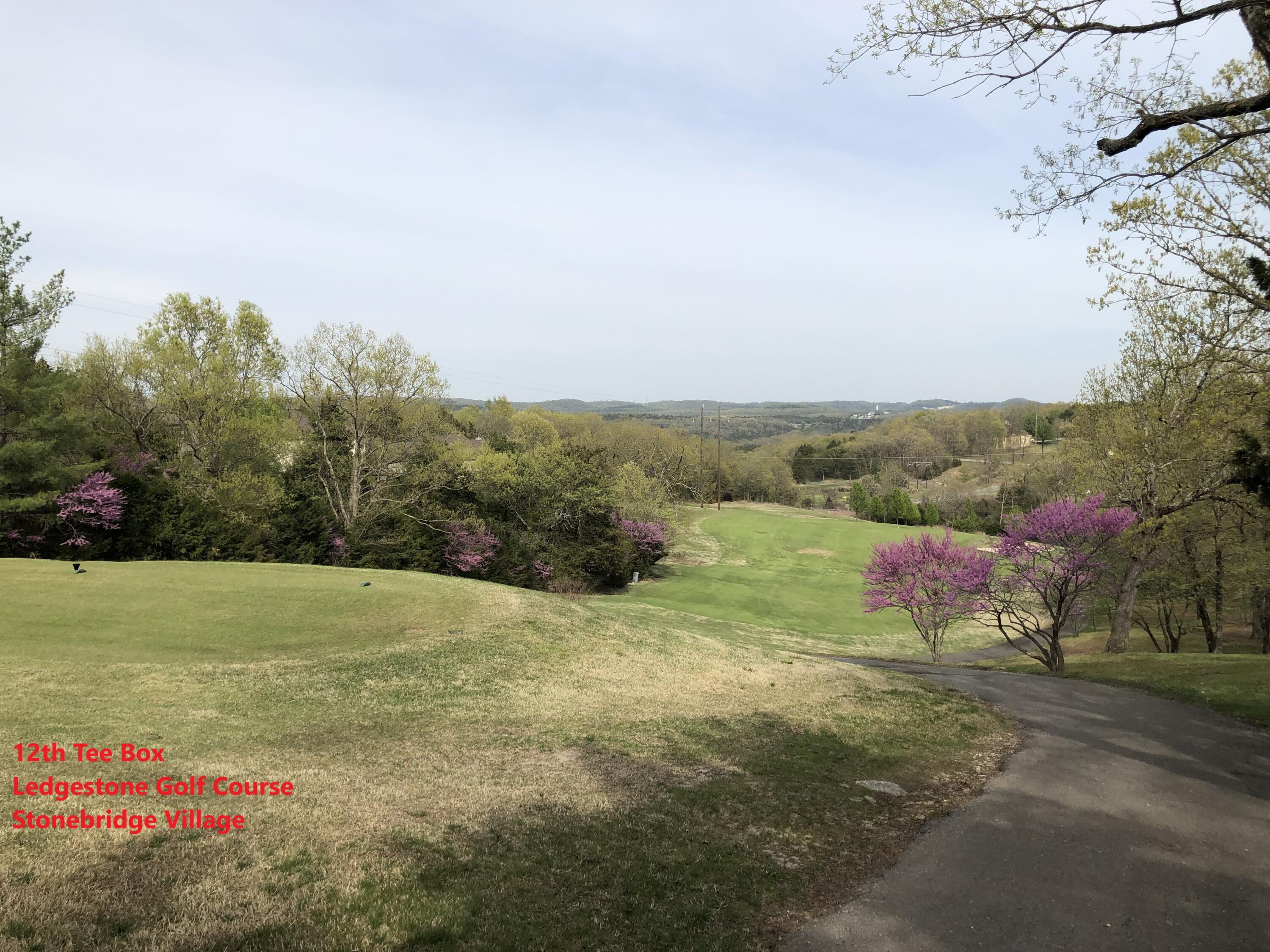 Photo 11 - Land for sale – 120  Silver Oak Way  Branson West, MO