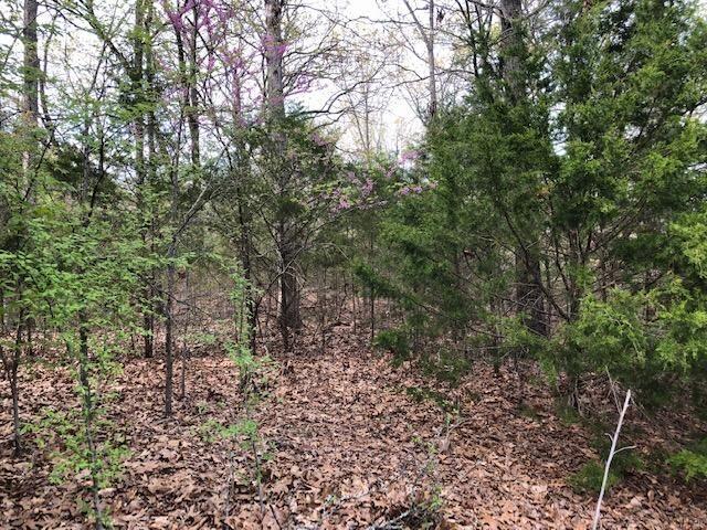 Photo 5 - Land for sale – 120  Silver Oak Way  Branson West, MO