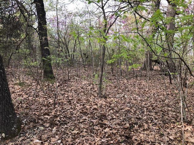Photo 8 - Land for sale – 120  Silver Oak Way  Branson West, MO