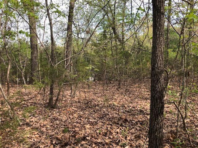 Photo 10 - Land for sale – 120  Silver Oak Way  Branson West, MO