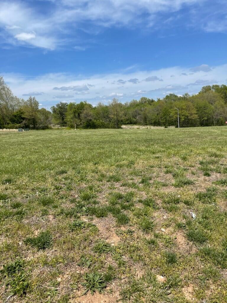 Commercial Sale for sale – 000 E Chestnut   Springfield, MO