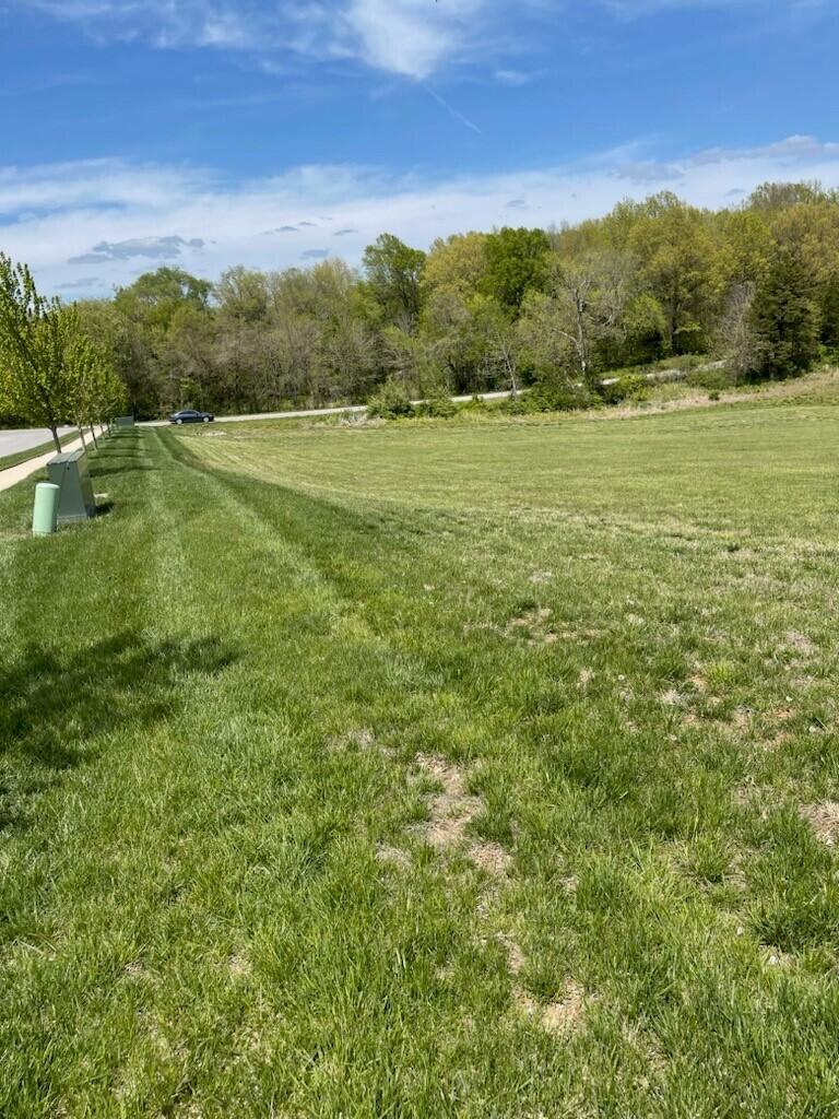 Commercial Sale for sale – 000 E Chestnut Street  Springfield, MO
