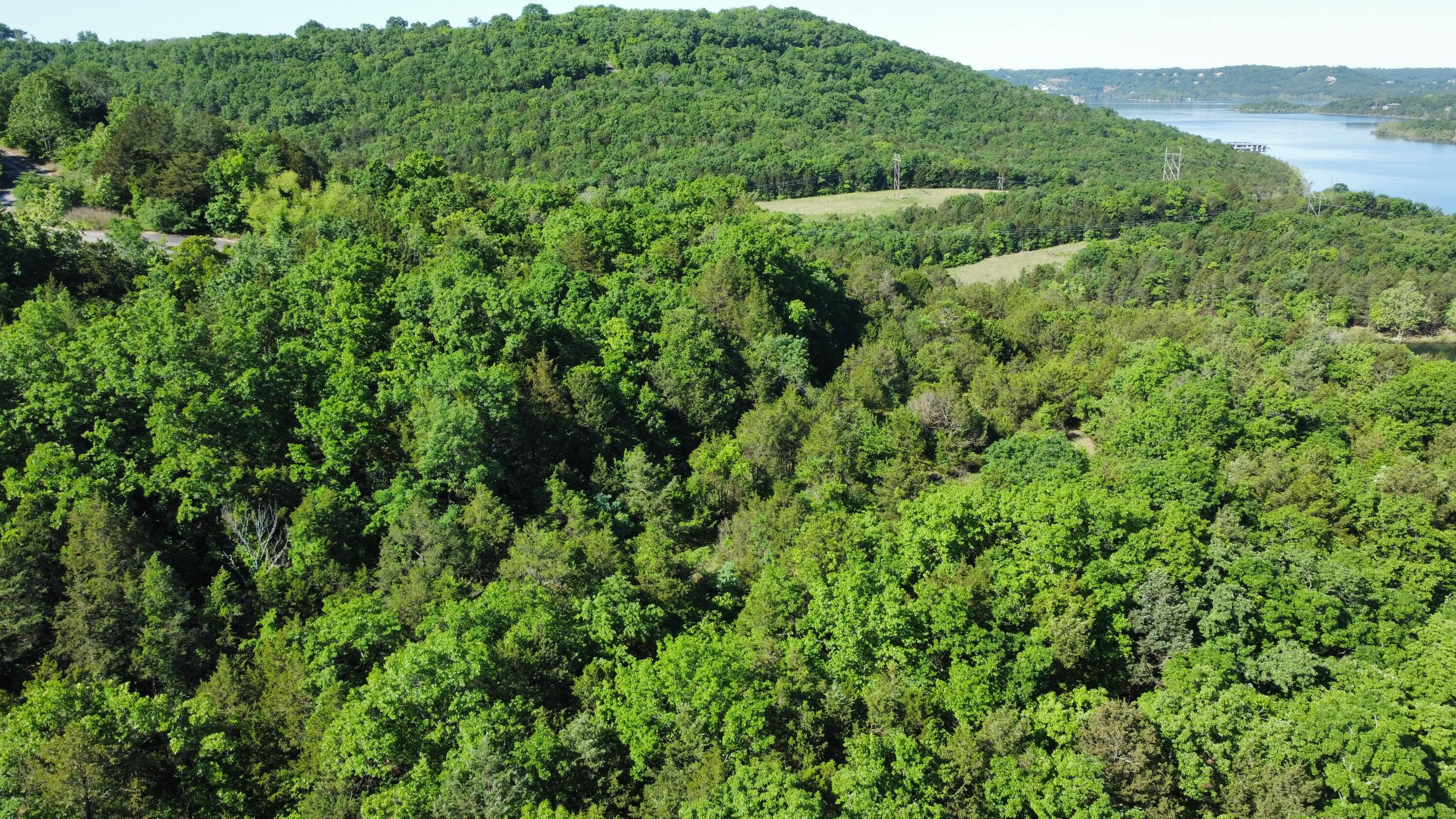 Photo 2 - Land for sale – 000  Lake Cove Court   Hollister, MO