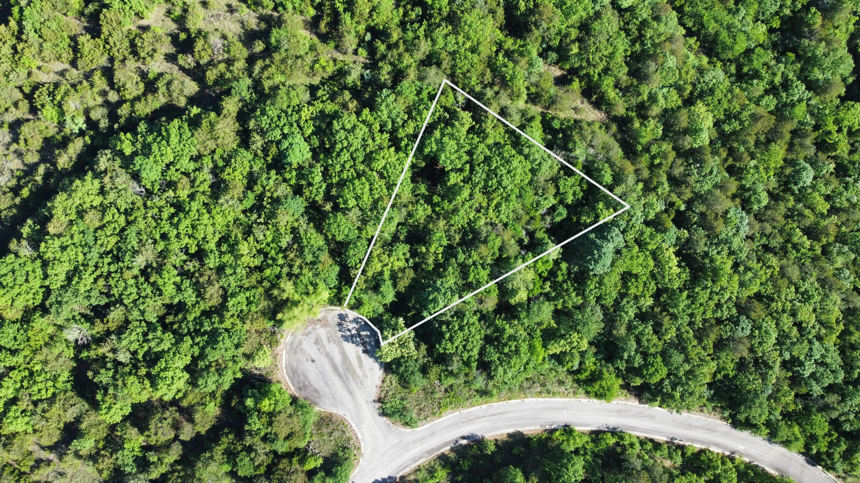 Land for sale – 000  Lake Cove Court   Hollister, MO
