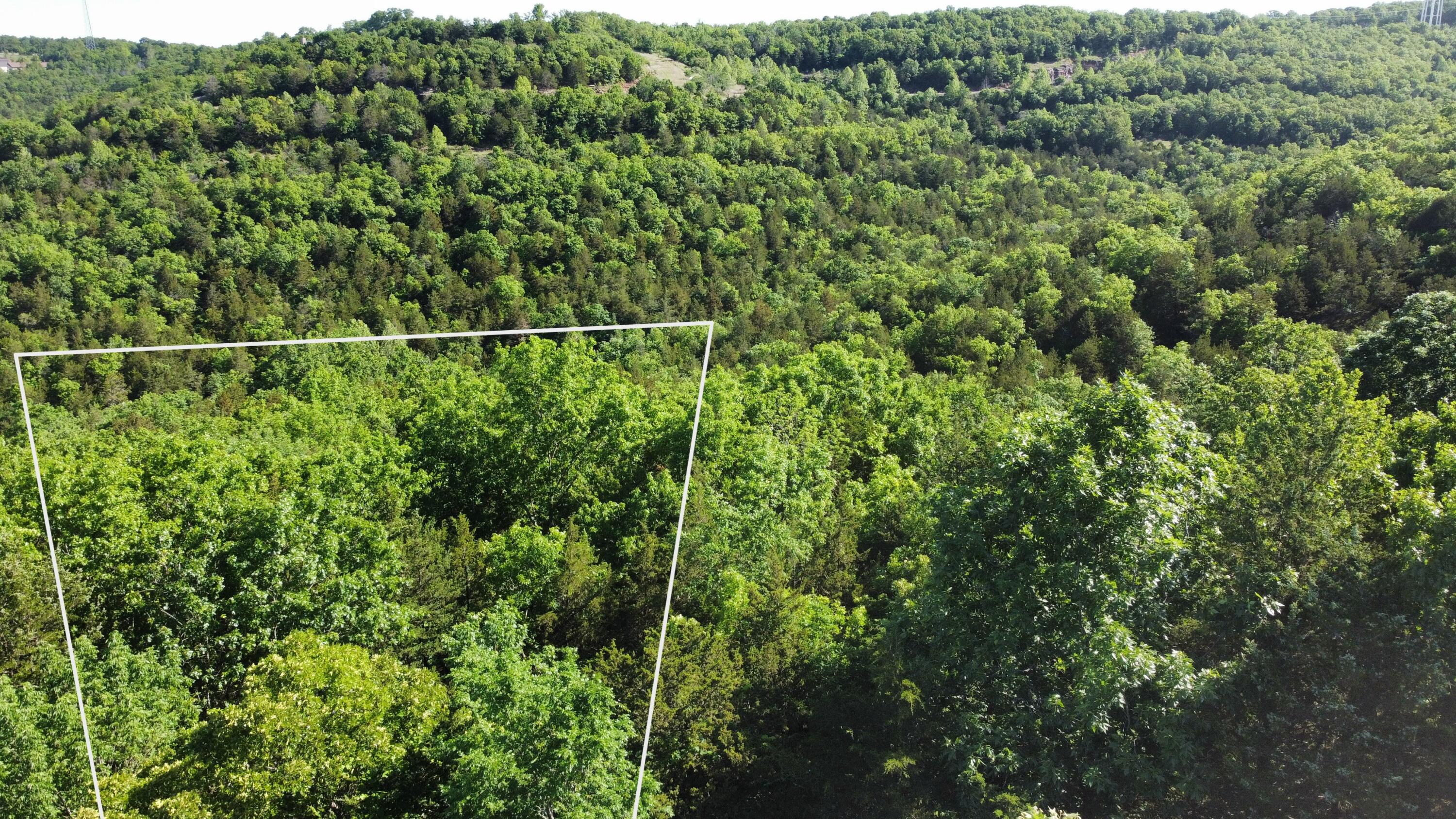 Photo 4 - Land for sale – 000  Lake Cove Court   Hollister, MO