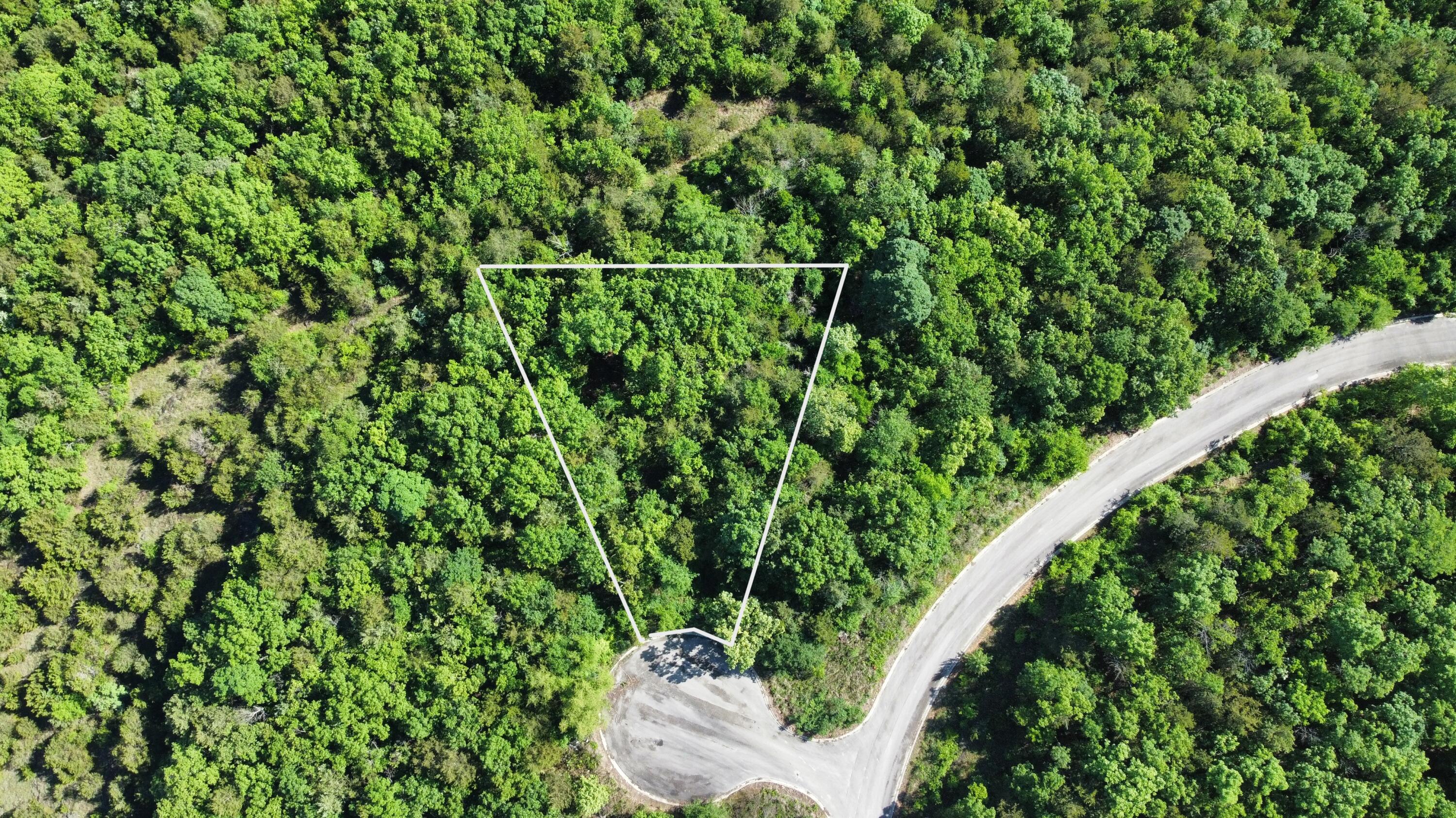 Photo 3 - Land for sale – 000  Lake Cove Court   Hollister, MO