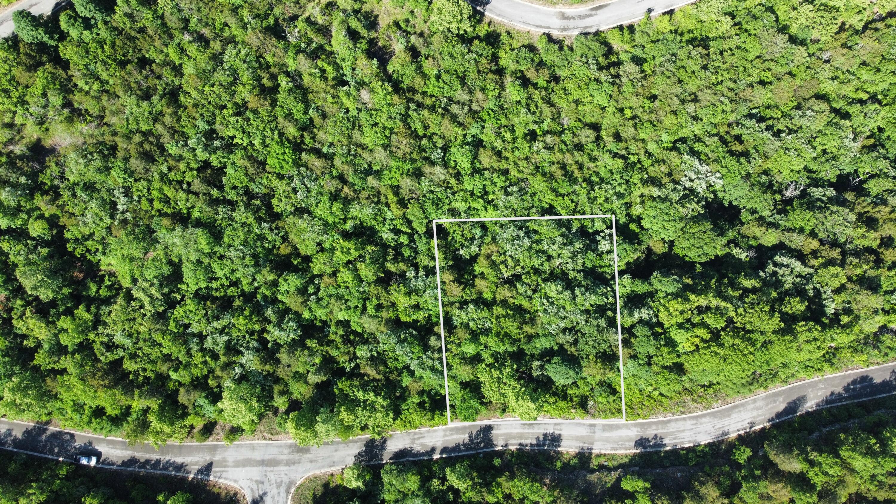 Land for sale – 000  Syler Circle   Hollister, MO