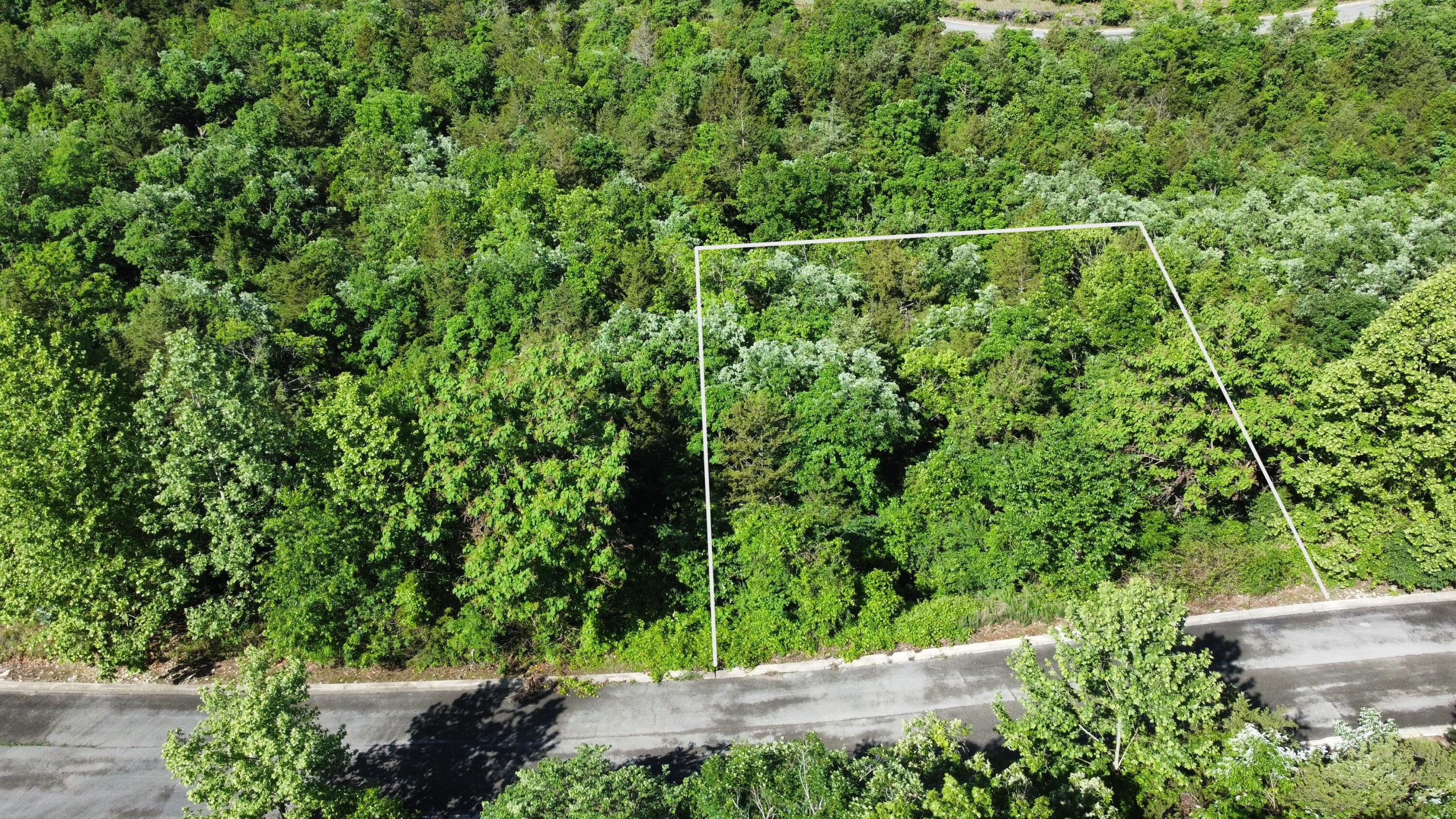 Photo 2 - Land for sale – 000  Syler Circle   Hollister, MO