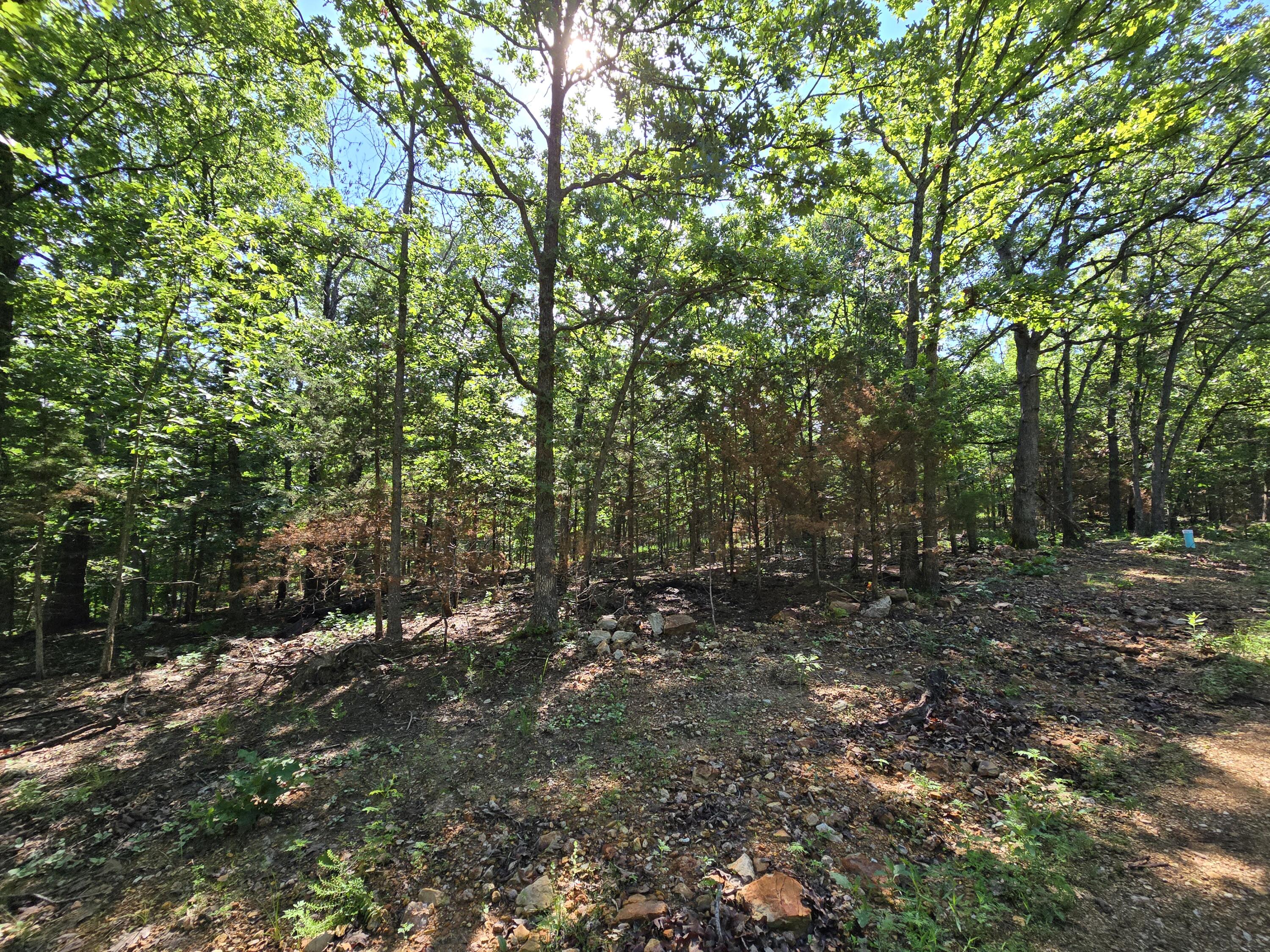 Photo 2 - Land for sale – Lot 11  Block 12 Tall Oaks   Pittsburg, MO