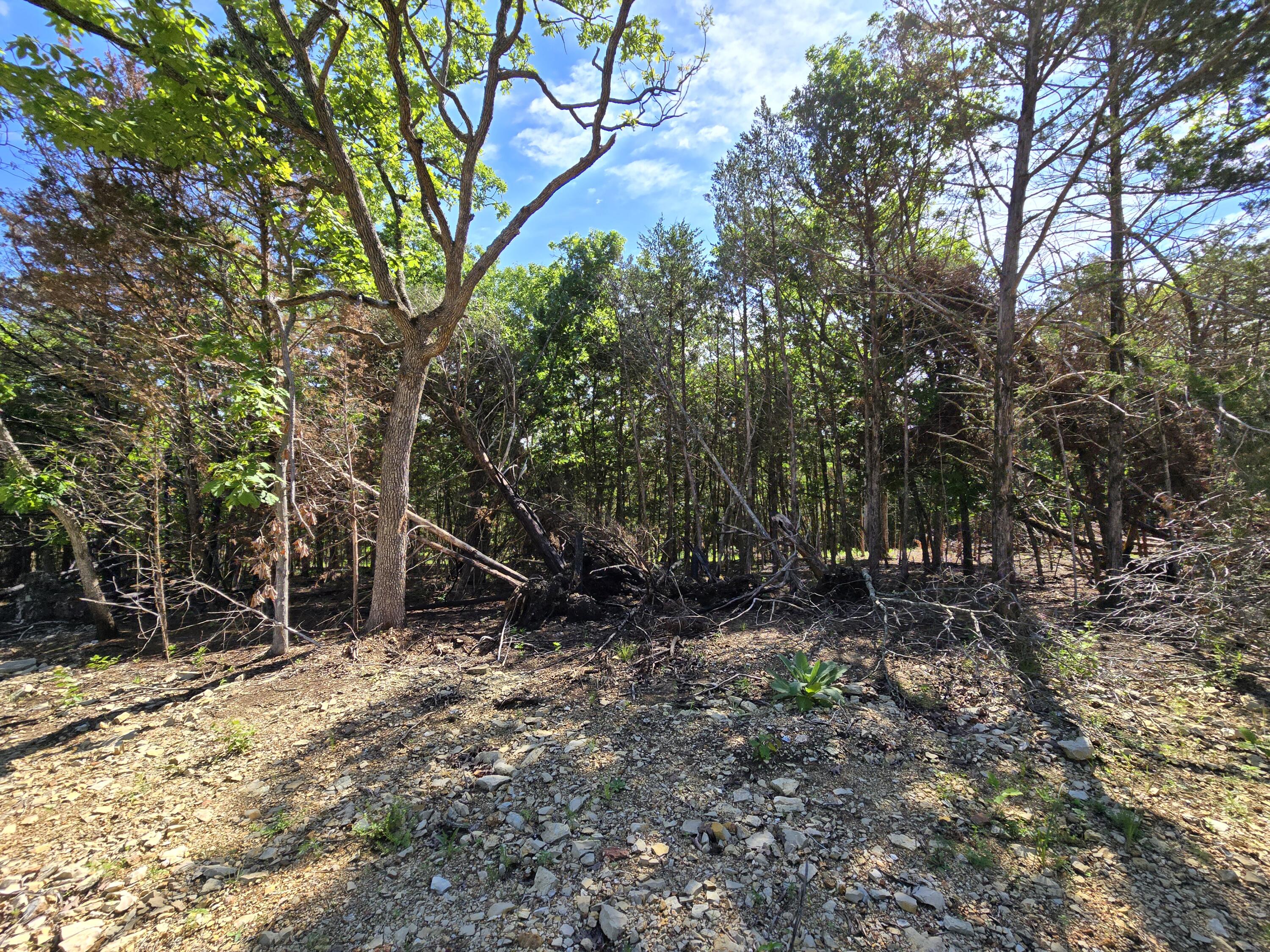 Photo 2 - Land for sale – Lot 5  Block 12 Tall Oaks   Pittsburg, MO