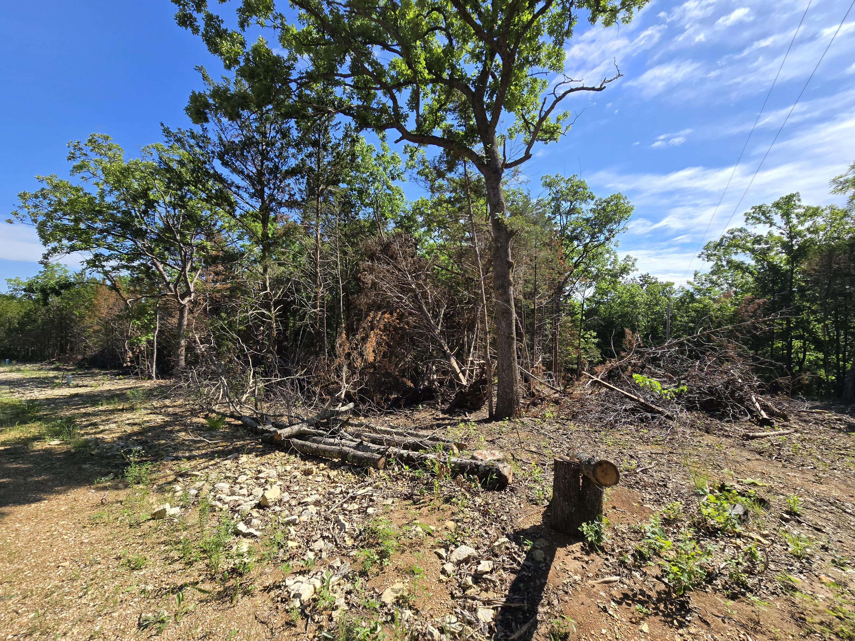 Photo 3 - Land for sale – Lot 5  Block 12 Tall Oaks   Pittsburg, MO