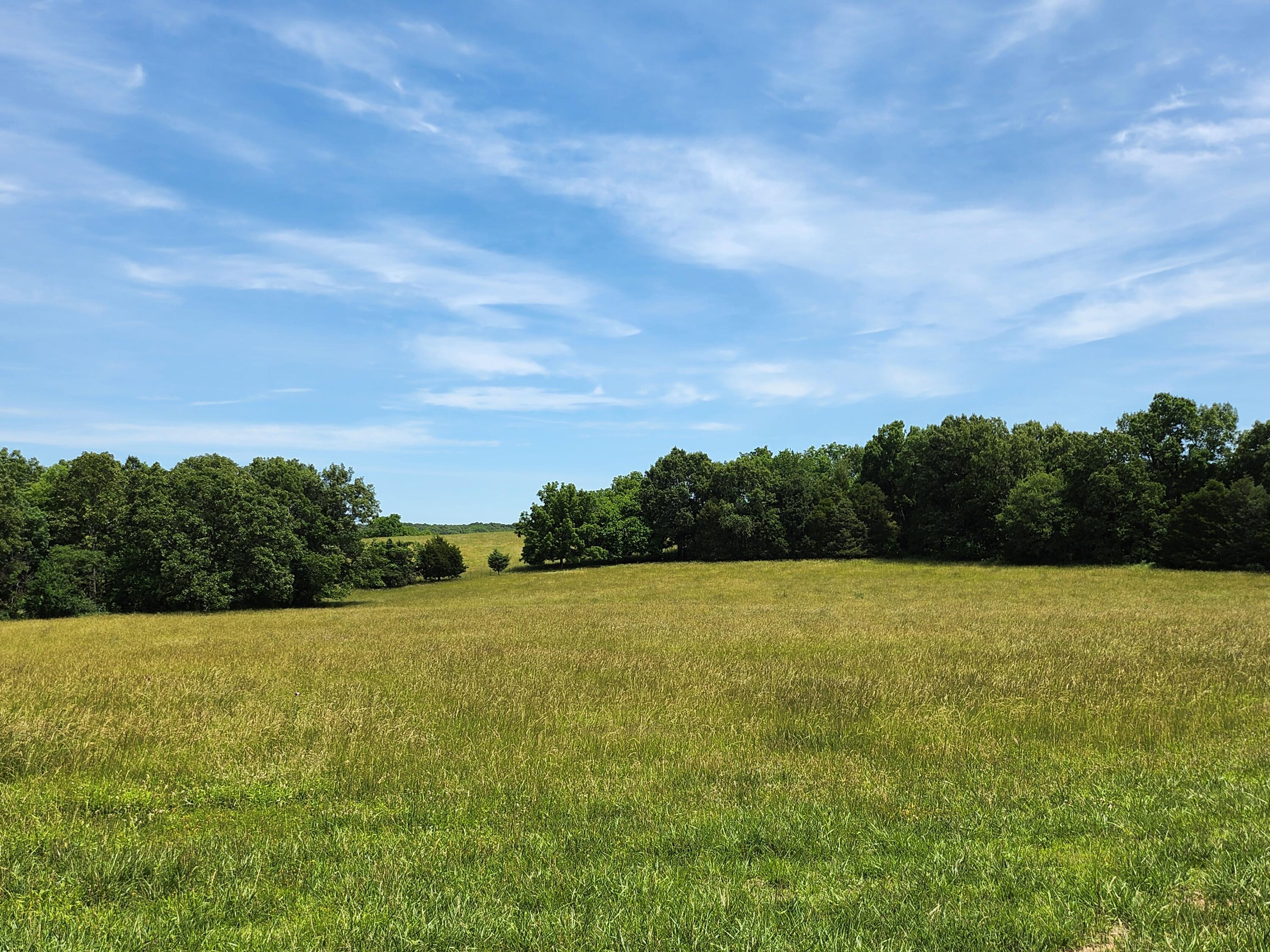 Photo 2 - Land for sale – Lot 7 N Farm Road 61   Walnut Grove, MO