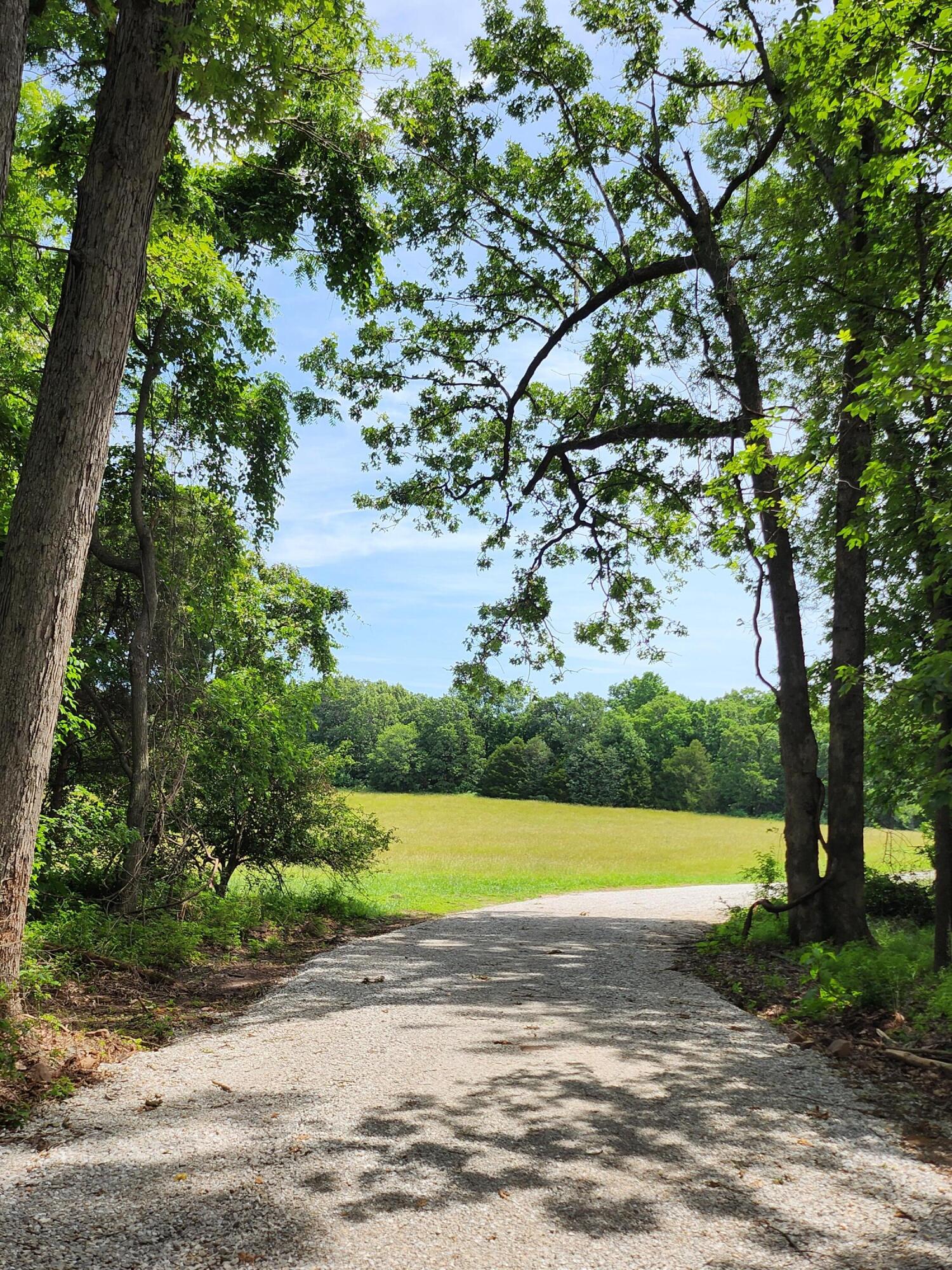 Land for sale – Lot 7 N Farm Road 61   Walnut Grove, MO