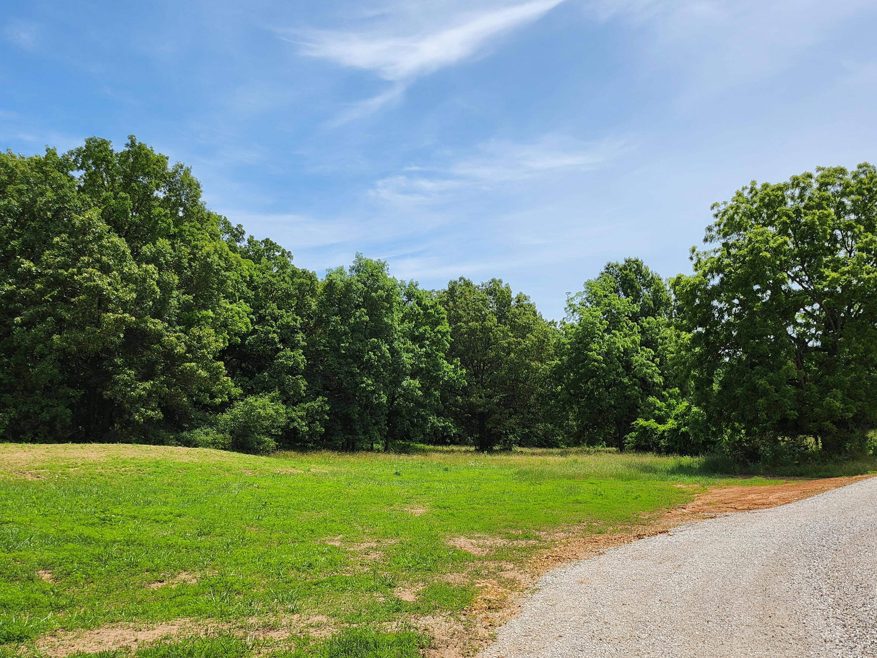 Land for sale – Lot 8 N Farm Road 61   Walnut Grove, MO