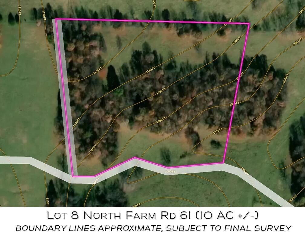 Photo 2 - Land for sale – Lot 8 N Farm Road 61   Walnut Grove, MO