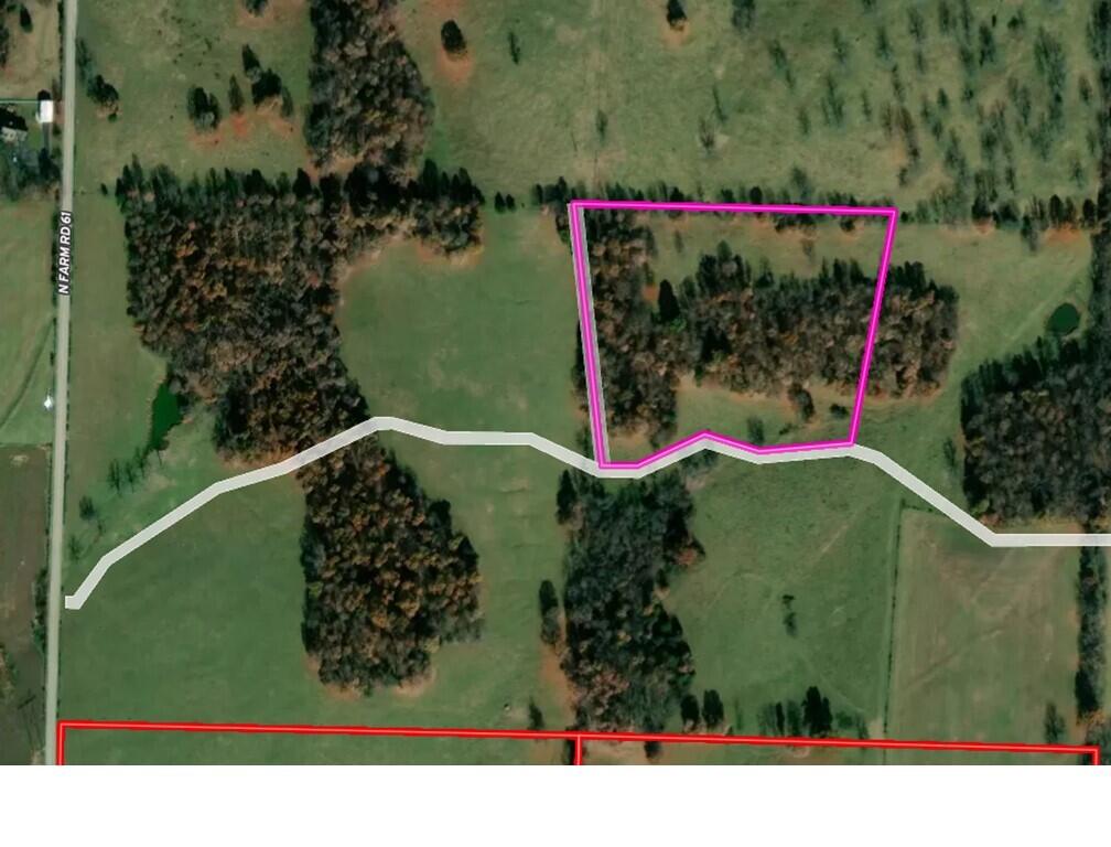 Photo 3 - Land for sale – Lot 8 N Farm Road 61   Walnut Grove, MO