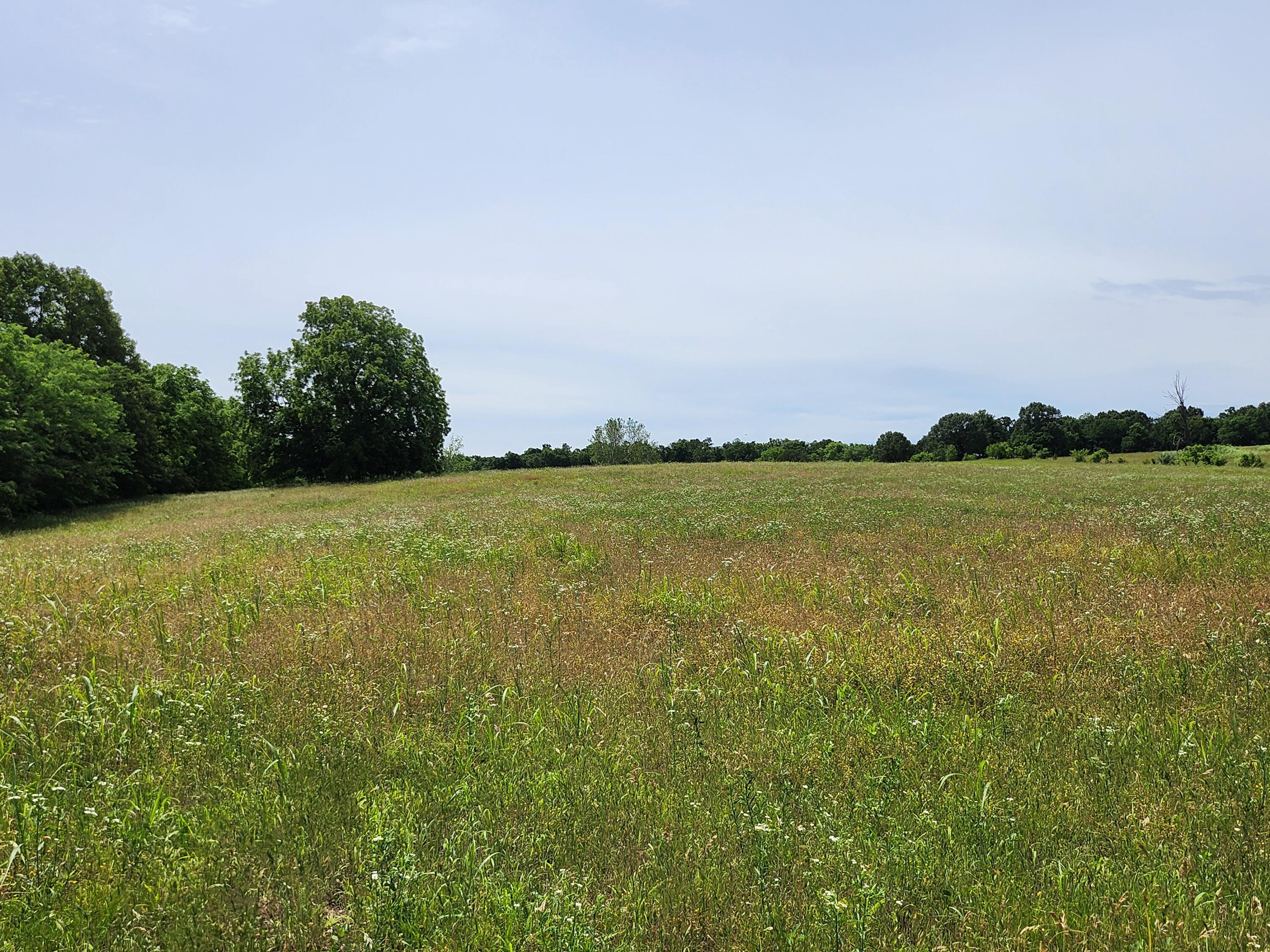 Land for sale – Lot 10 N Farm Road 61   Walnut Grove, MO