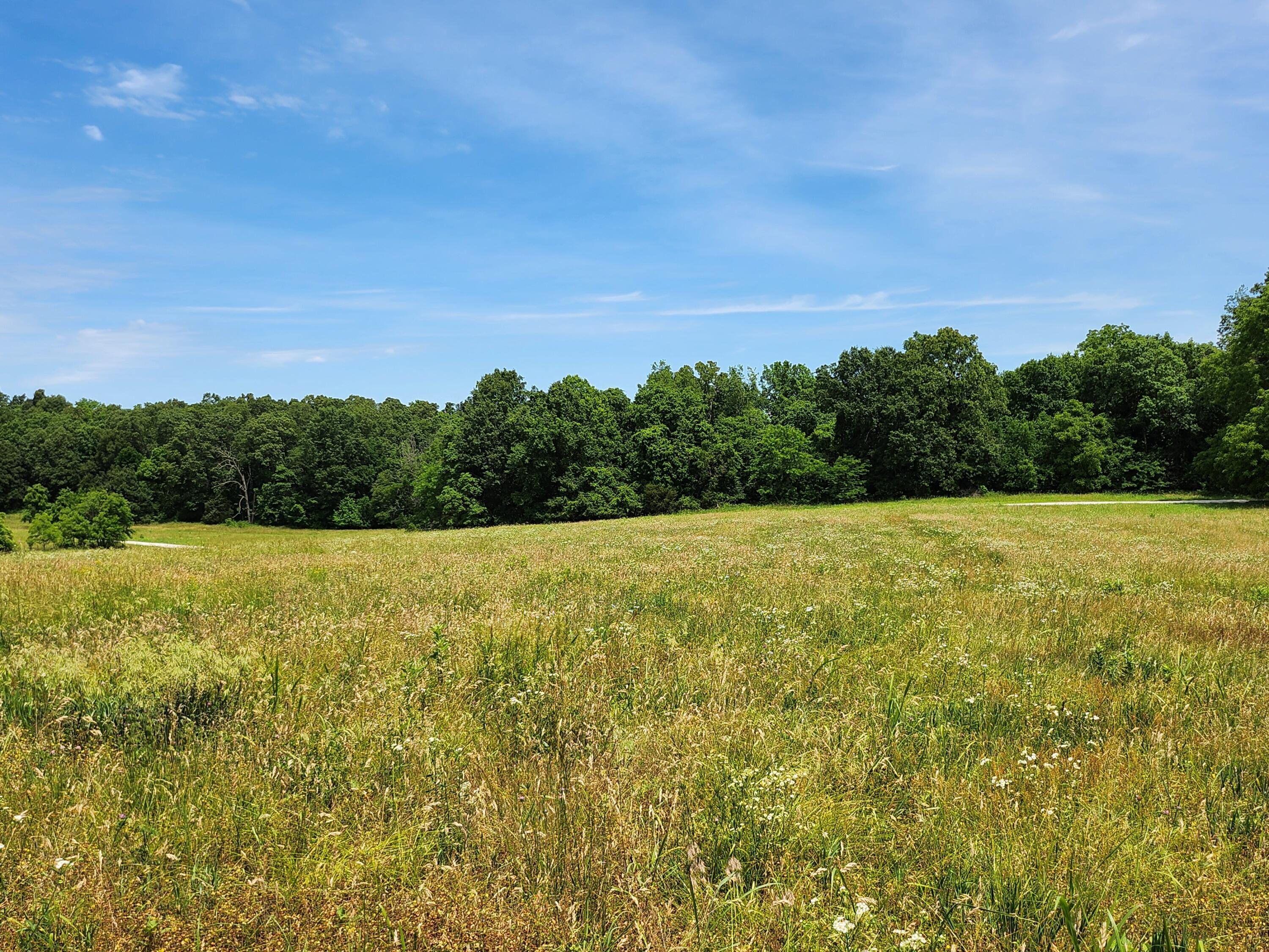 Photo 2 - Land for sale – Lot 10 N Farm Road 61   Walnut Grove, MO