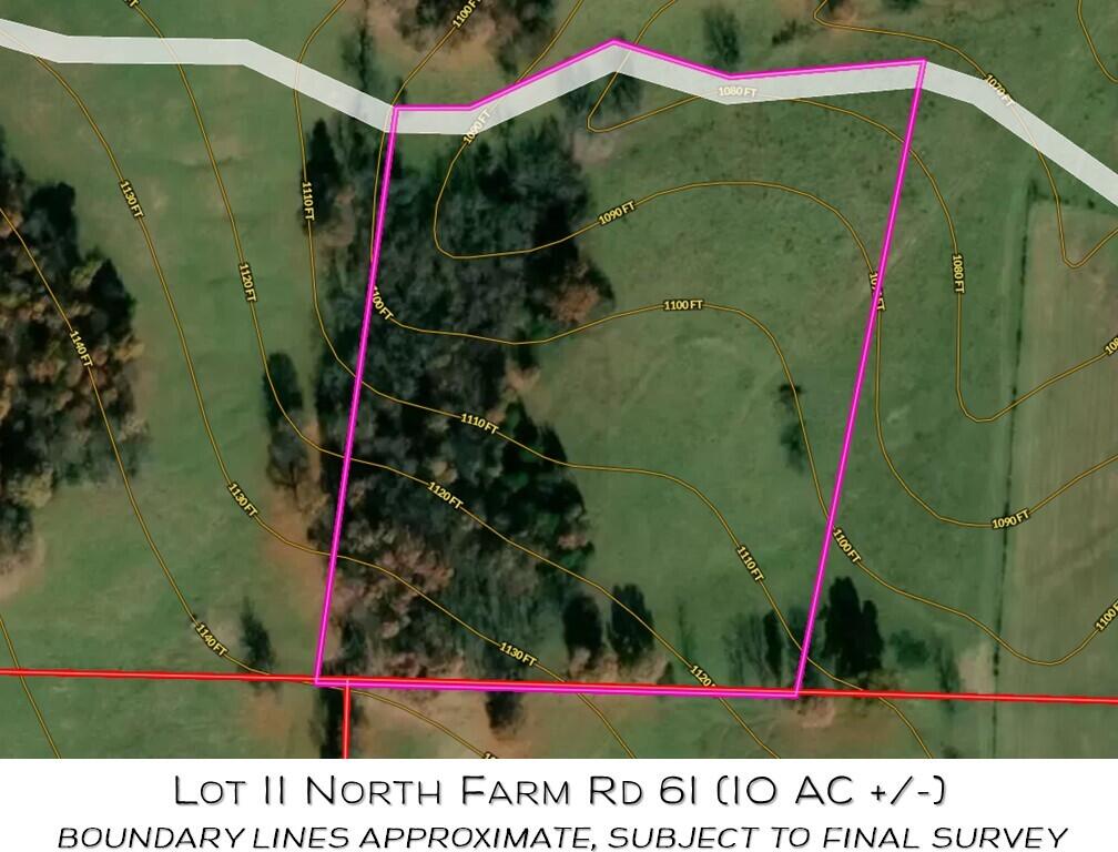 Photo 2 - Land for sale – Lot 11 N Farm Road 61   Walnut Grove, MO