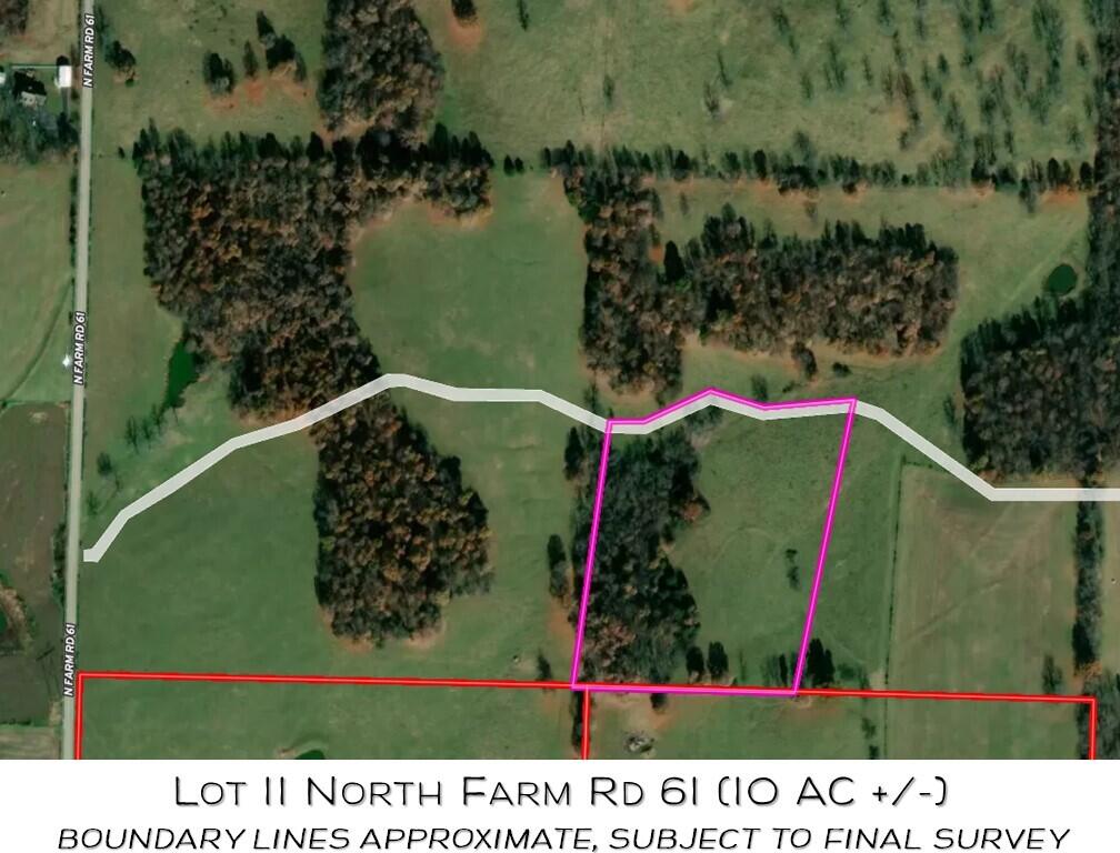 Photo 3 - Land for sale – Lot 11 N Farm Road 61   Walnut Grove, MO