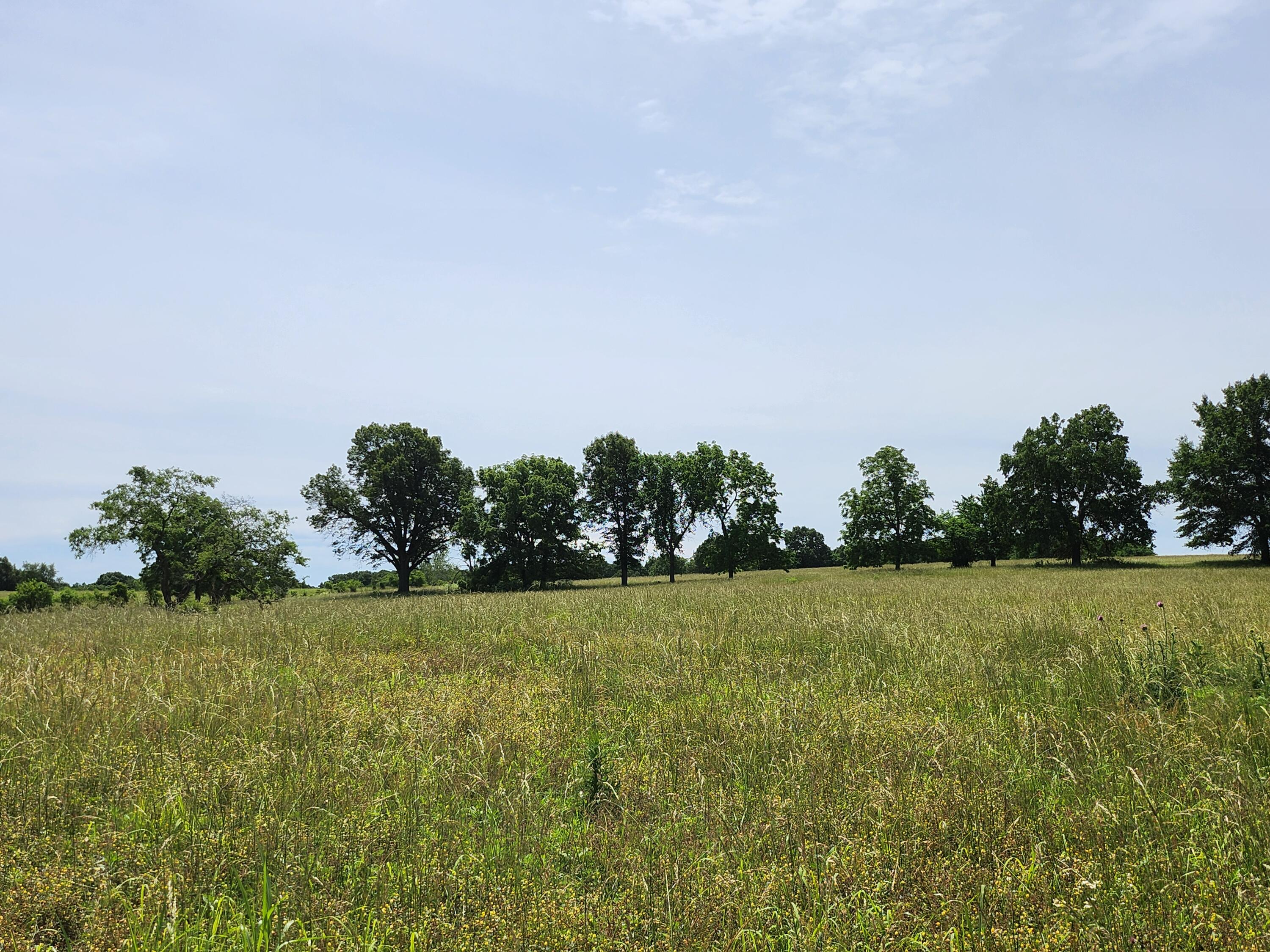 Land for sale – Lot 11 N Farm Road 61   Walnut Grove, MO