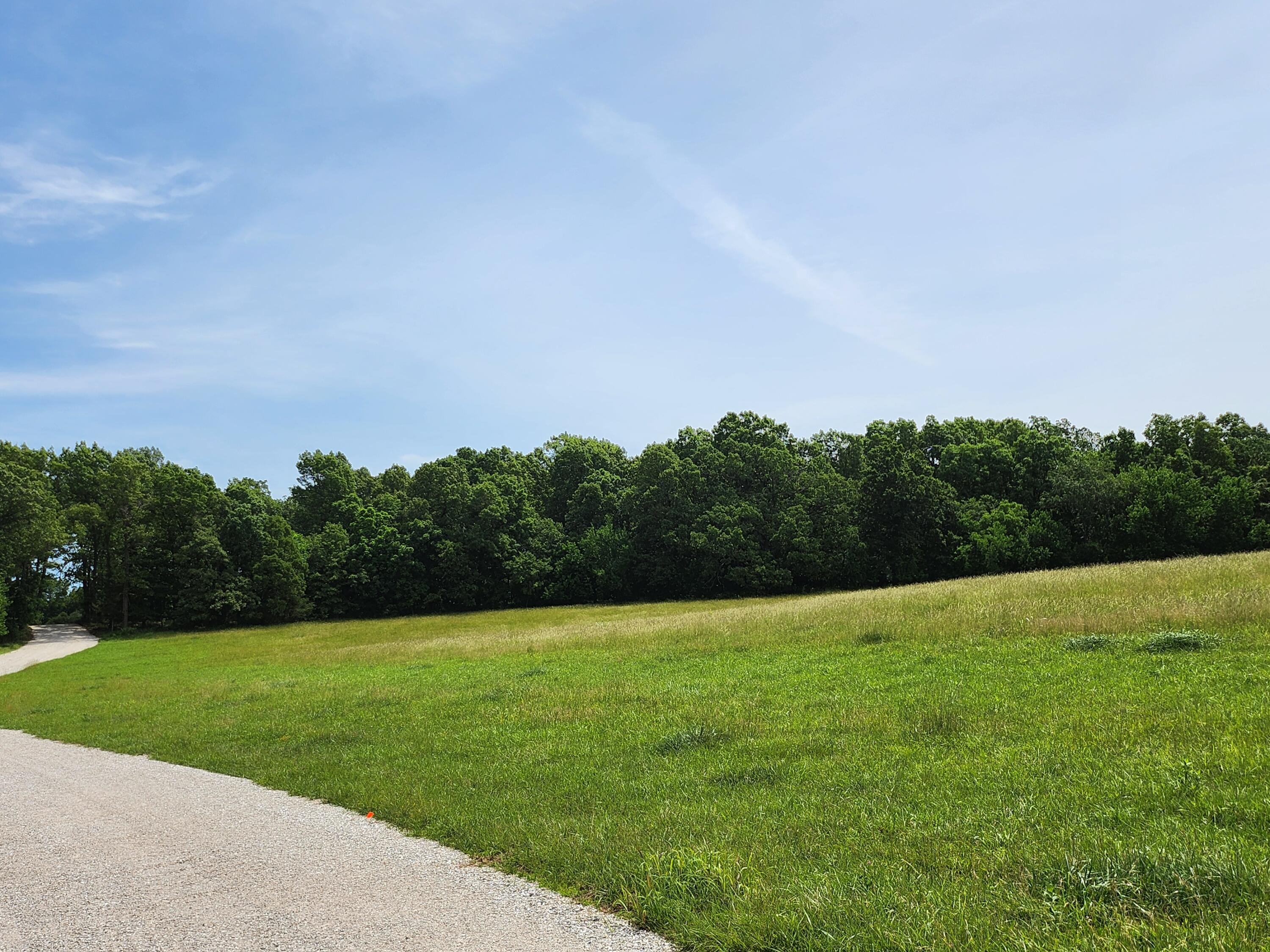 Land for sale – Lot 13 N Farm Road 61   Walnut Grove, MO
