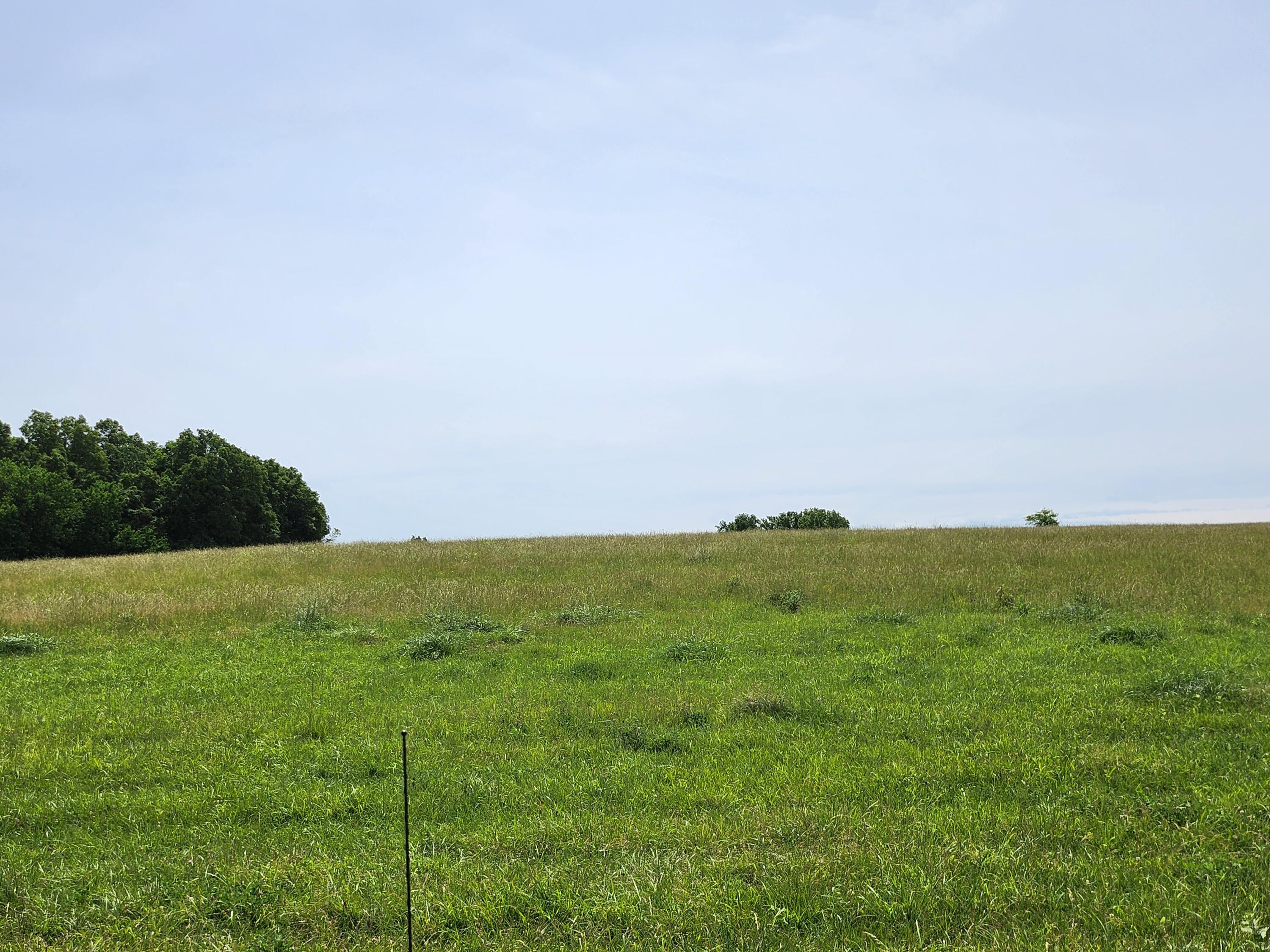 Photo 2 - Land for sale – Lot 13 N Farm Road 61   Walnut Grove, MO