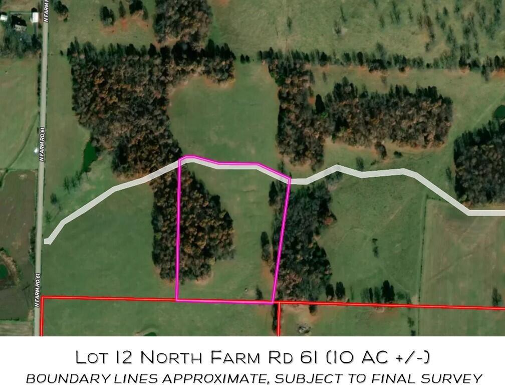 Photo 3 - Land for sale – Lot 12 N Farm Road 61   Walnut Grove, MO