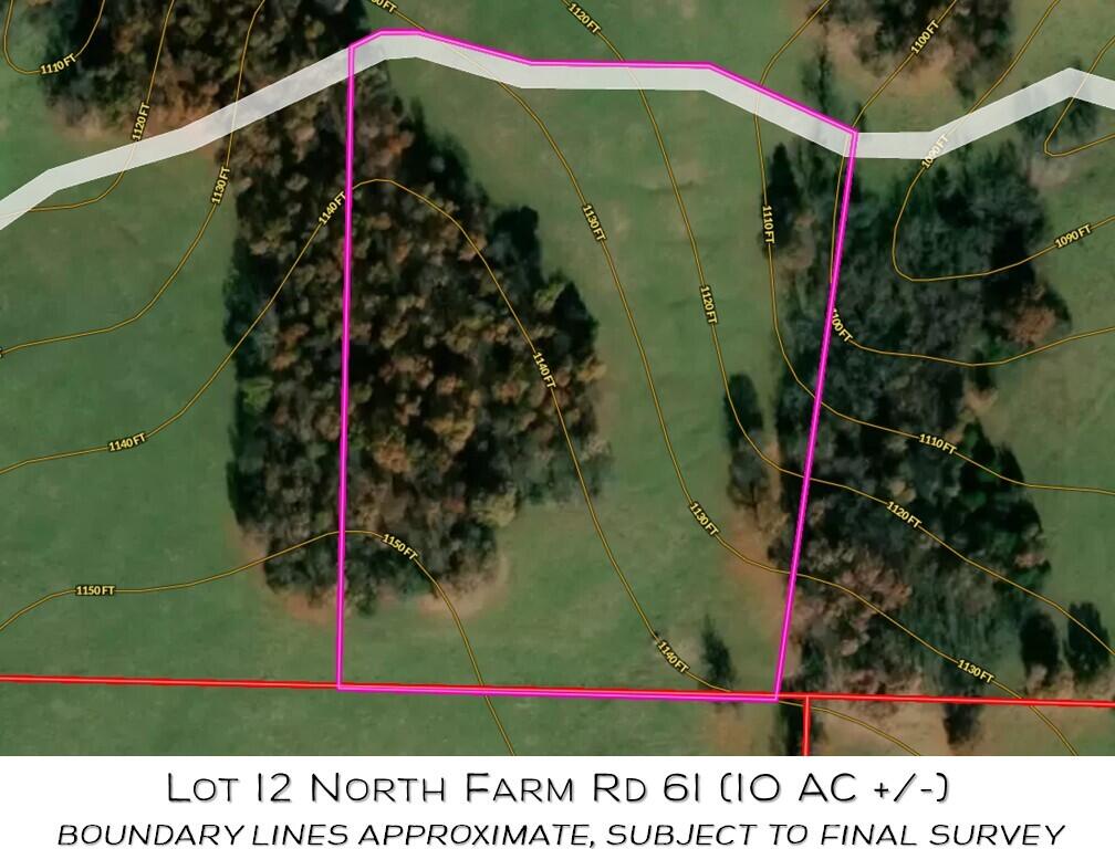 Photo 2 - Land for sale – Lot 12 N Farm Road 61   Walnut Grove, MO