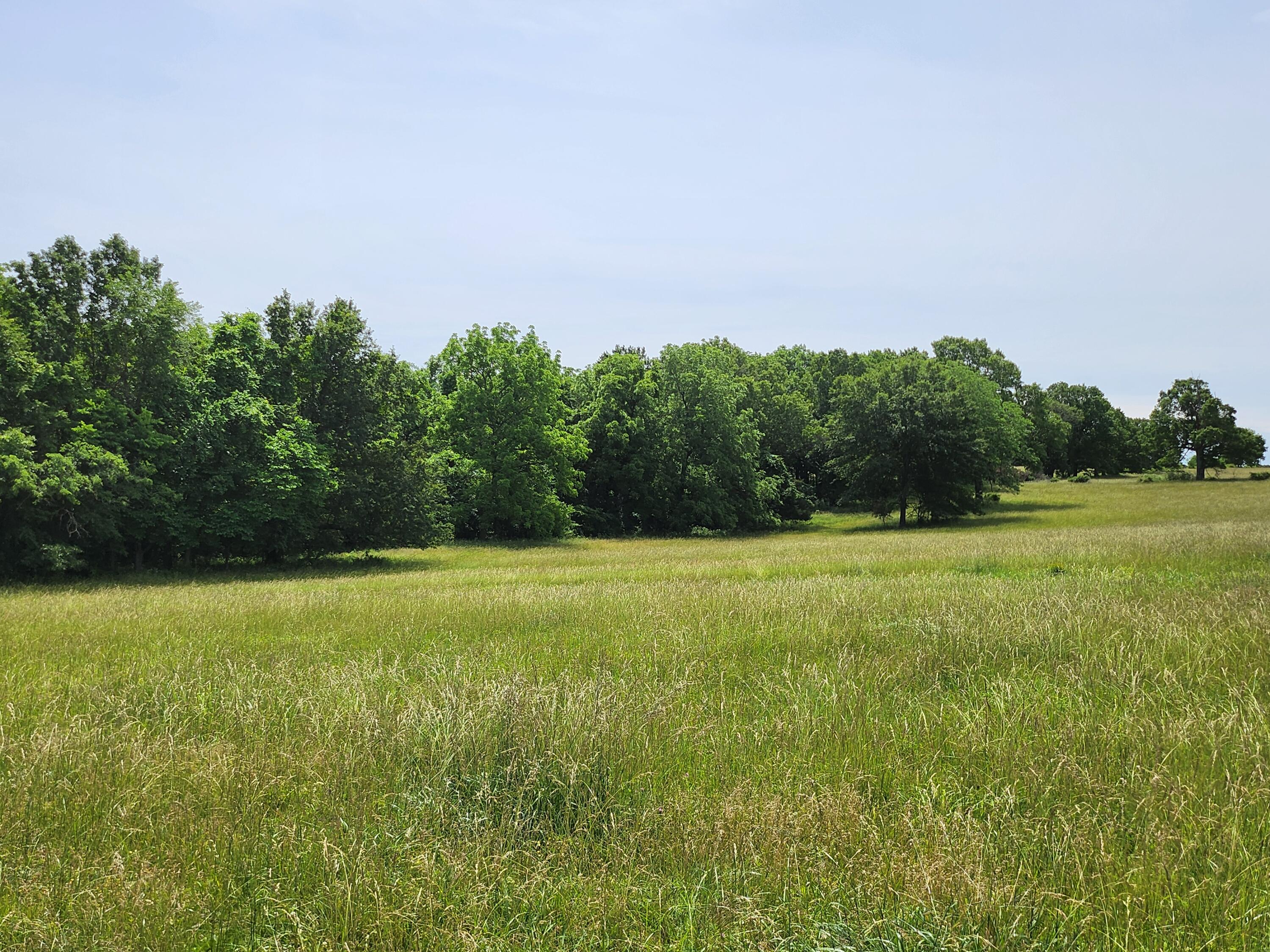 Land for sale – Lot 12 N Farm Road 61   Walnut Grove, MO