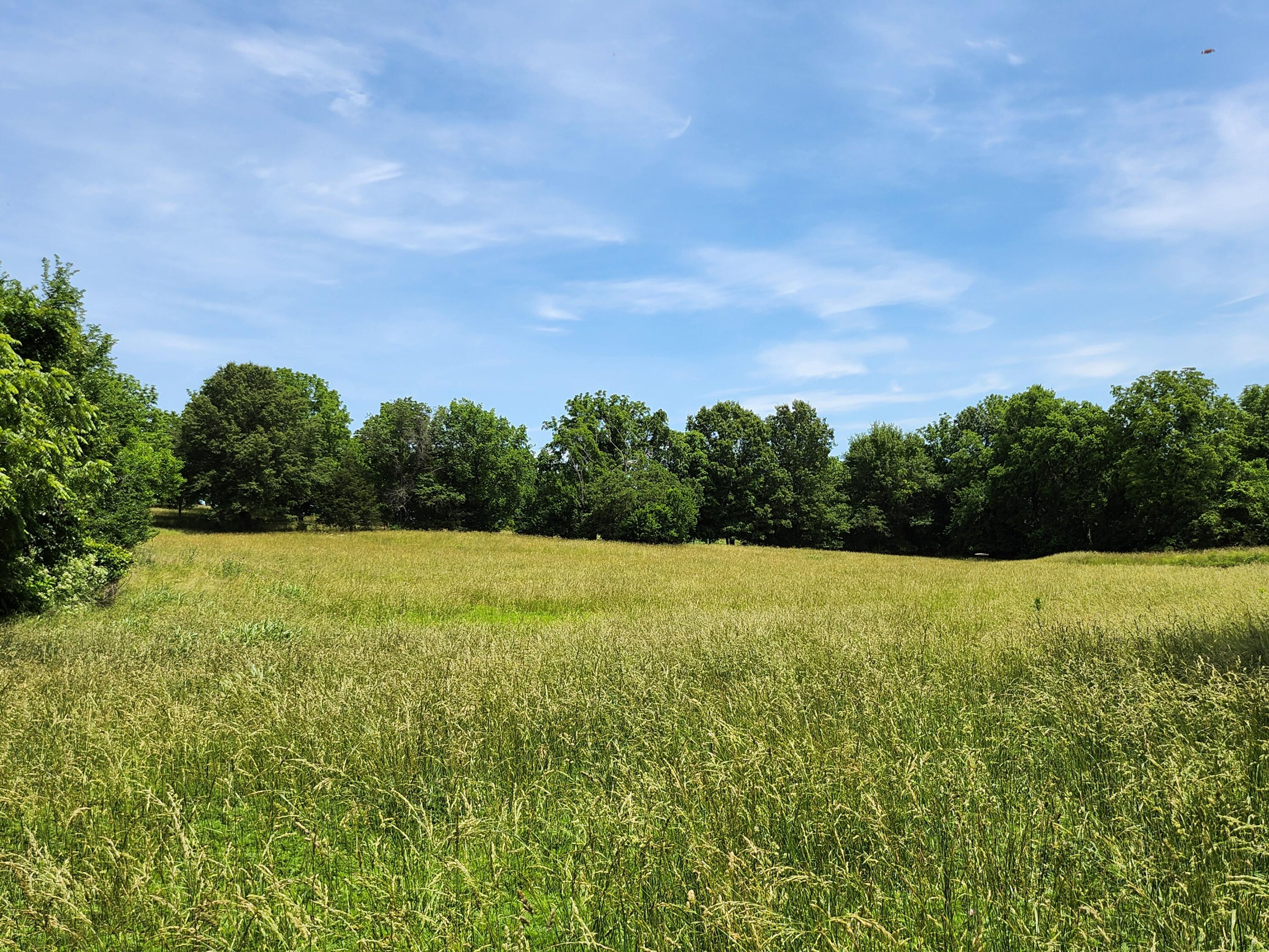 Photo 3 - Land for sale – Lot 9 N Farm Road 61   Walnut Grove, MO