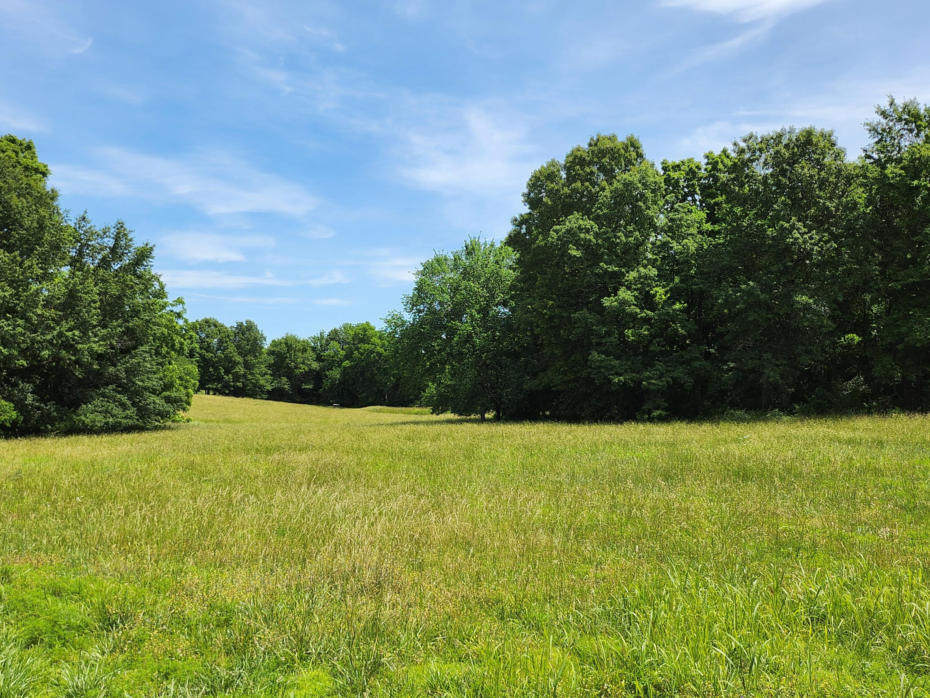 Photo 2 - Land for sale – Lot 9 N Farm Road 61   Walnut Grove, MO