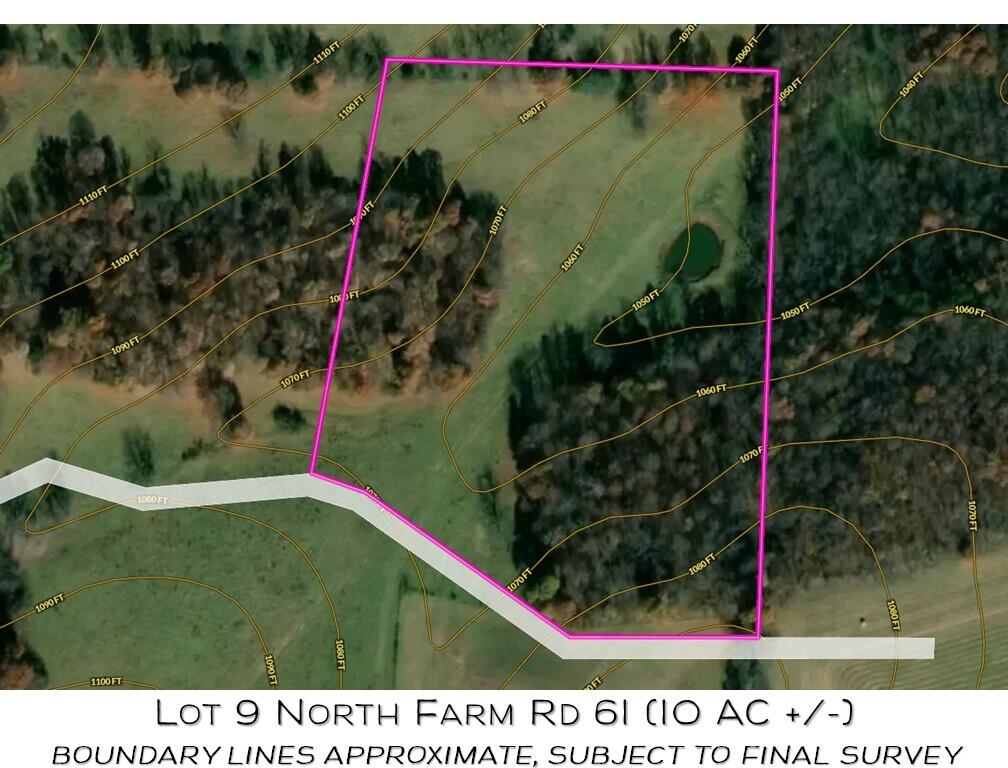 Photo 4 - Land for sale – Lot 9 N Farm Road 61   Walnut Grove, MO