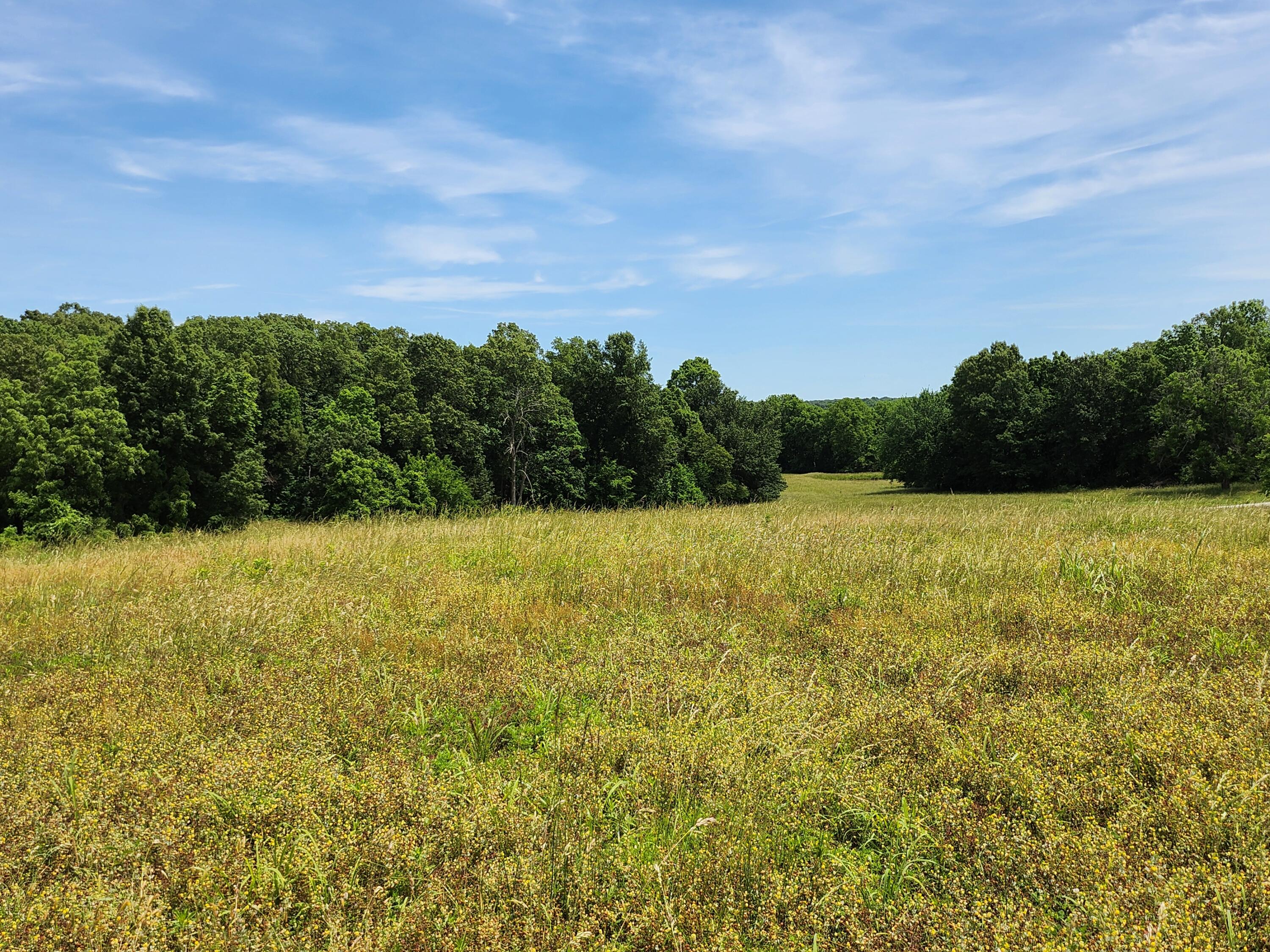 Land for sale – Lot 9 N Farm Road 61   Walnut Grove, MO