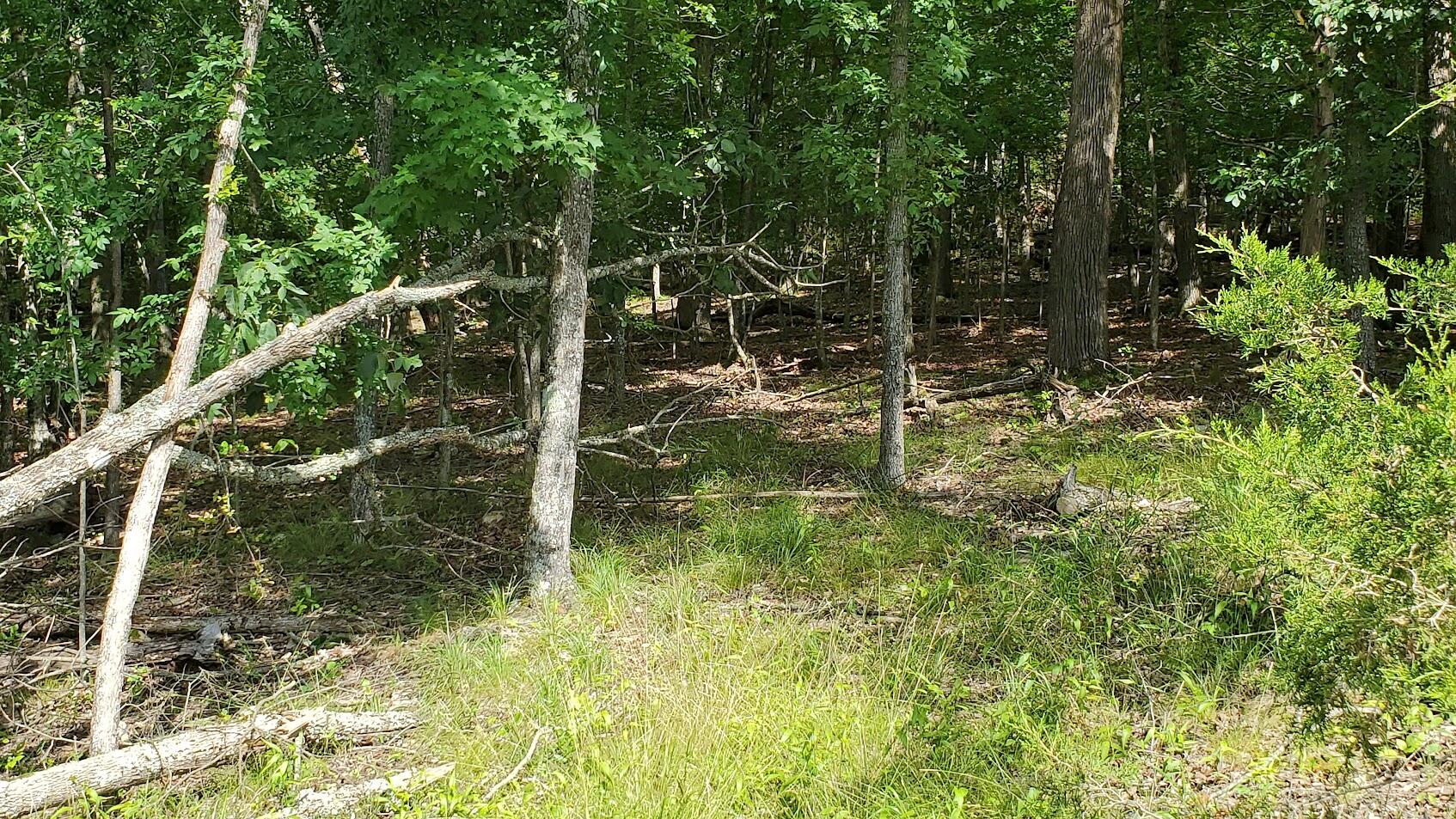Photo 2 - Land for sale – 000  Lot 88 Summer Breeze   Kimberling City, MO