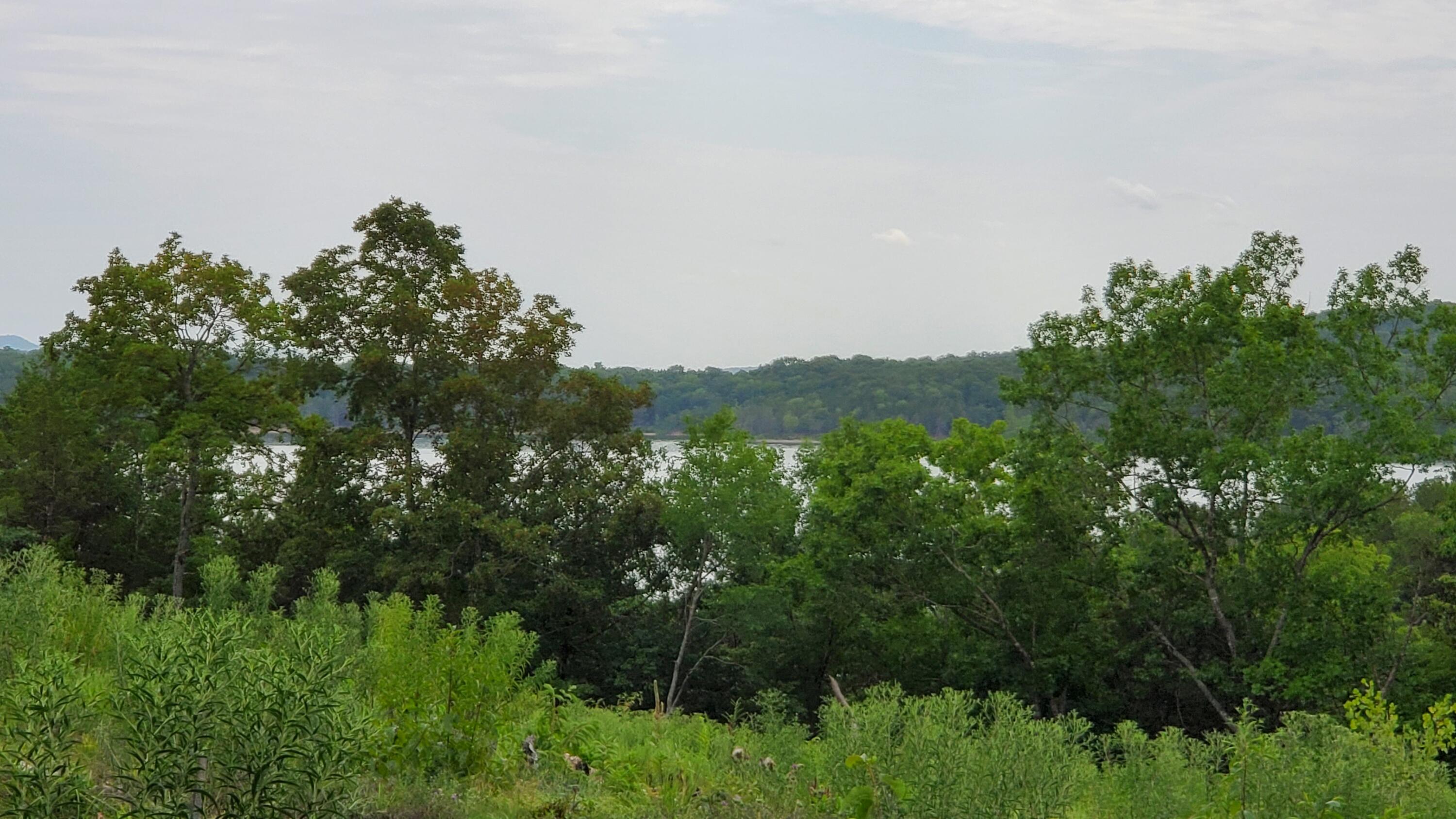 Photo 2 - Land for sale – 000  Lot 79 Summer Breeze   Kimberling City, MO