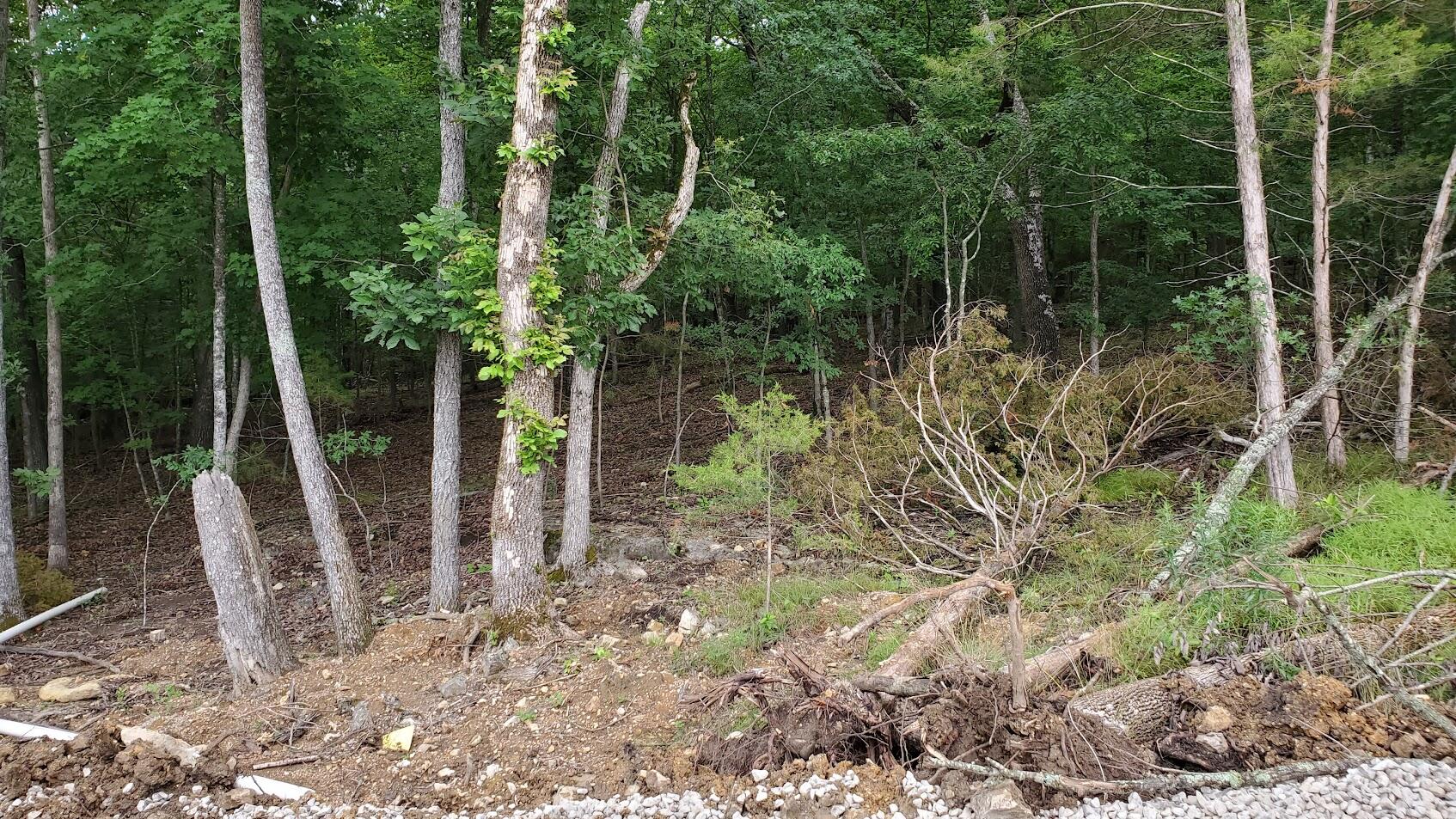 Land for sale – 000  Lot 86 Summer Breeze   Kimberling City, MO