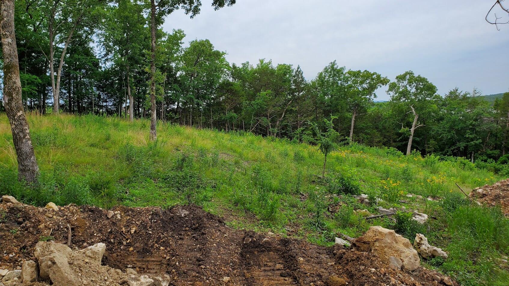 Photo 3 - Land for sale – 000  Lot 82 Summer Breeze   Kimberling City, MO