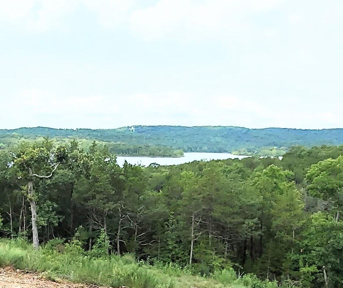 Photo 2 - Land for sale – 000  Lot 82 Summer Breeze   Kimberling City, MO