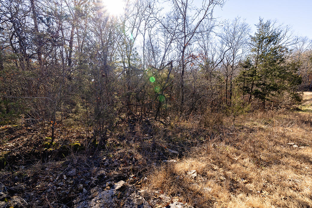 Photo 3 - Land for sale – Lot 4  Sandstone   Merriam Woods, MO