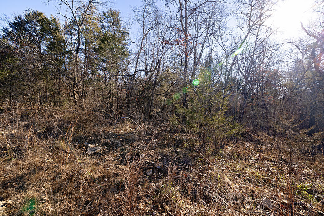 Photo 2 - Land for sale – Lot 4  Sandstone   Merriam Woods, MO
