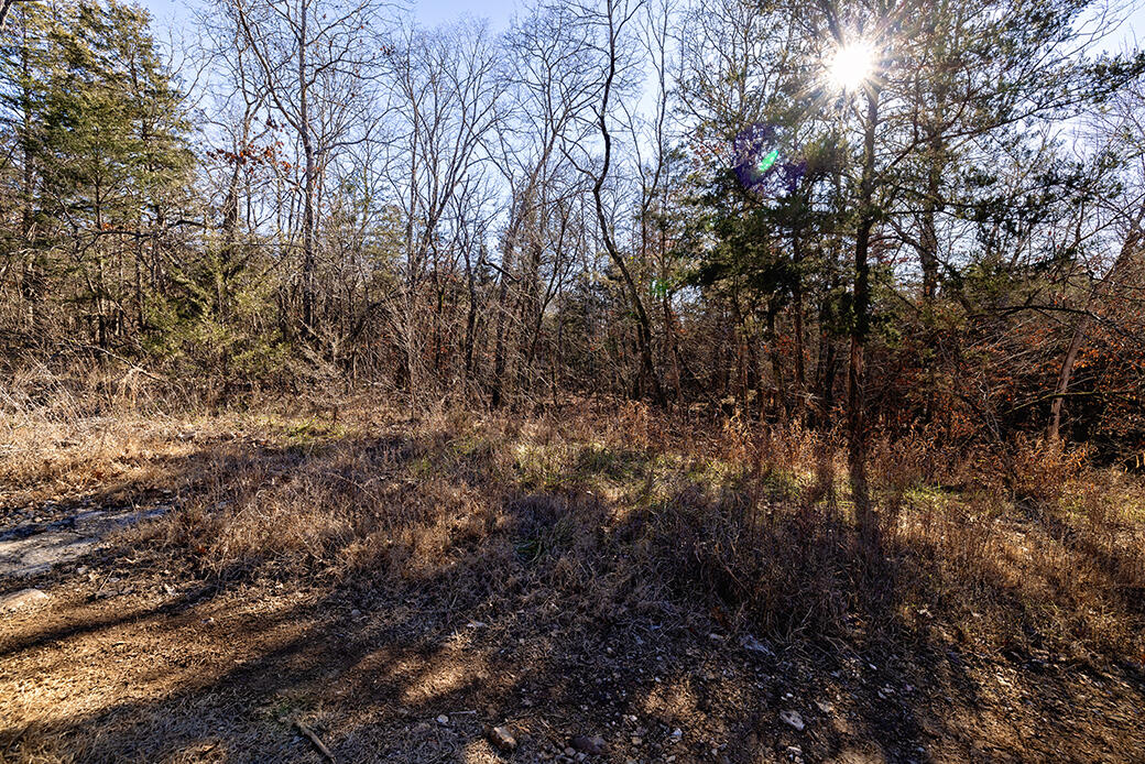 Land for sale – Lot 4  Sandstone   Merriam Woods, MO