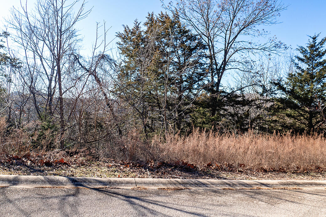 Photo 32 - Land for sale – Lot 353  Emerald Isle   Hollister, MO