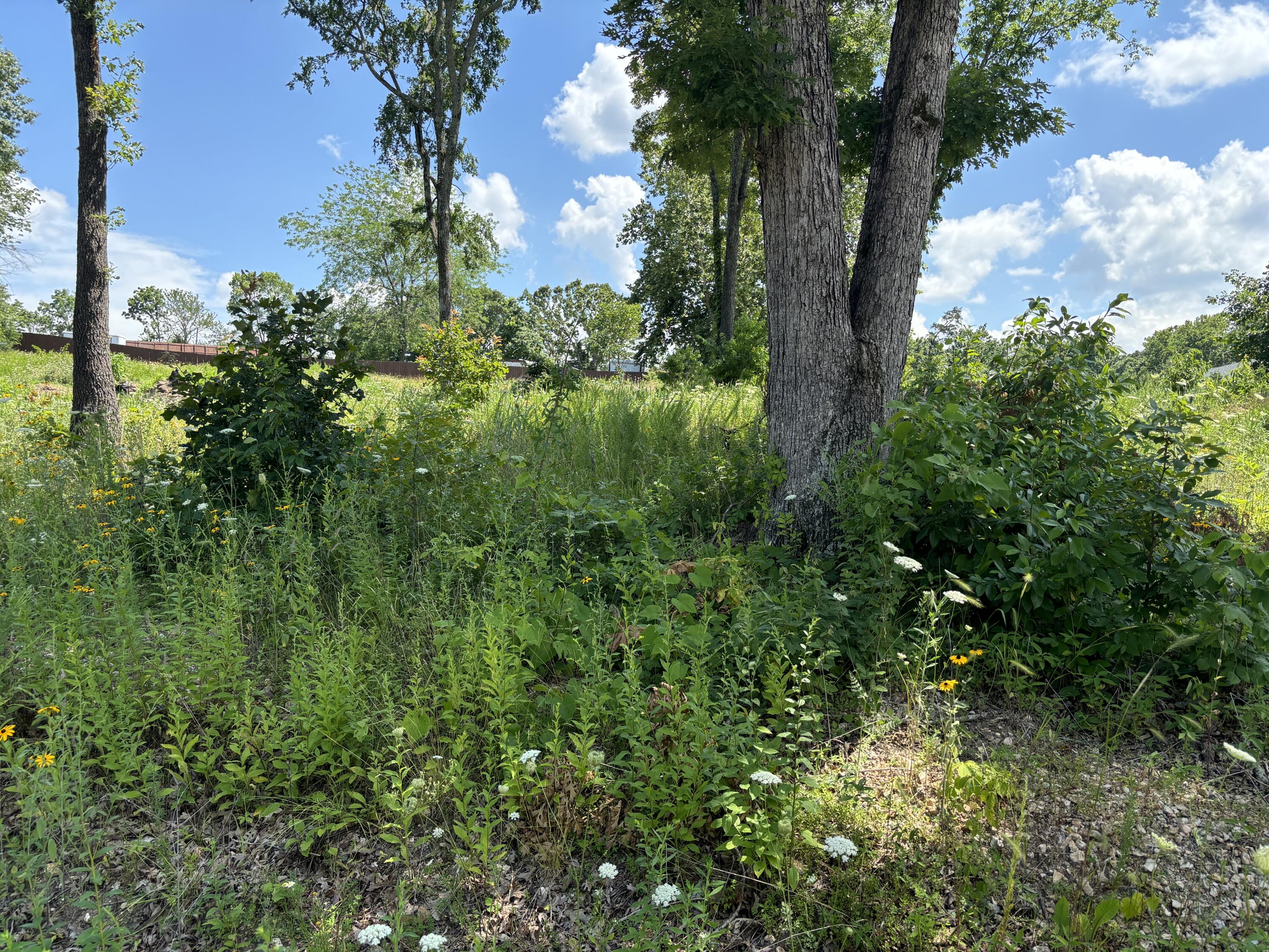 Land for sale – 56  Northfork Lane   Shell Knob, MO