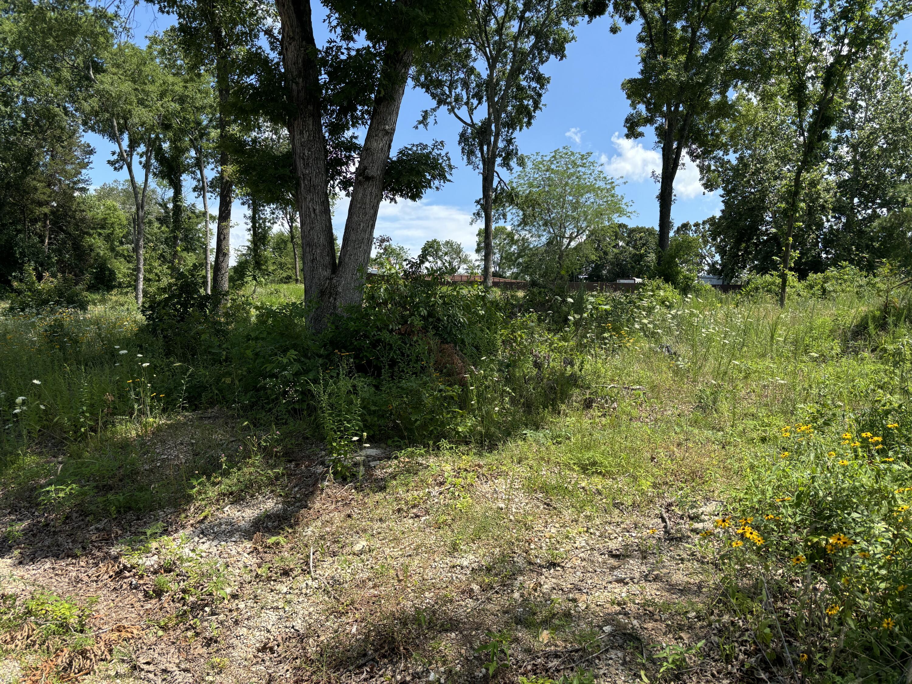 Photo 2 - Land for sale – 56  Northfork Lane   Shell Knob, MO