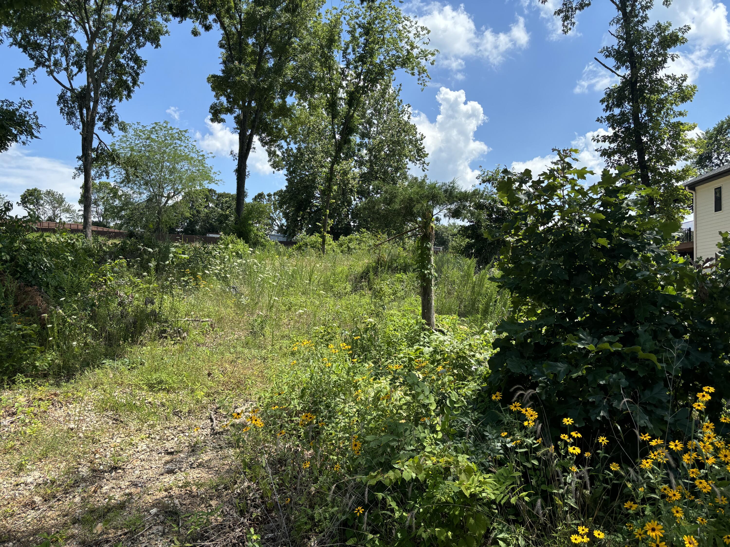 Photo 3 - Land for sale – 56  Northfork Lane   Shell Knob, MO