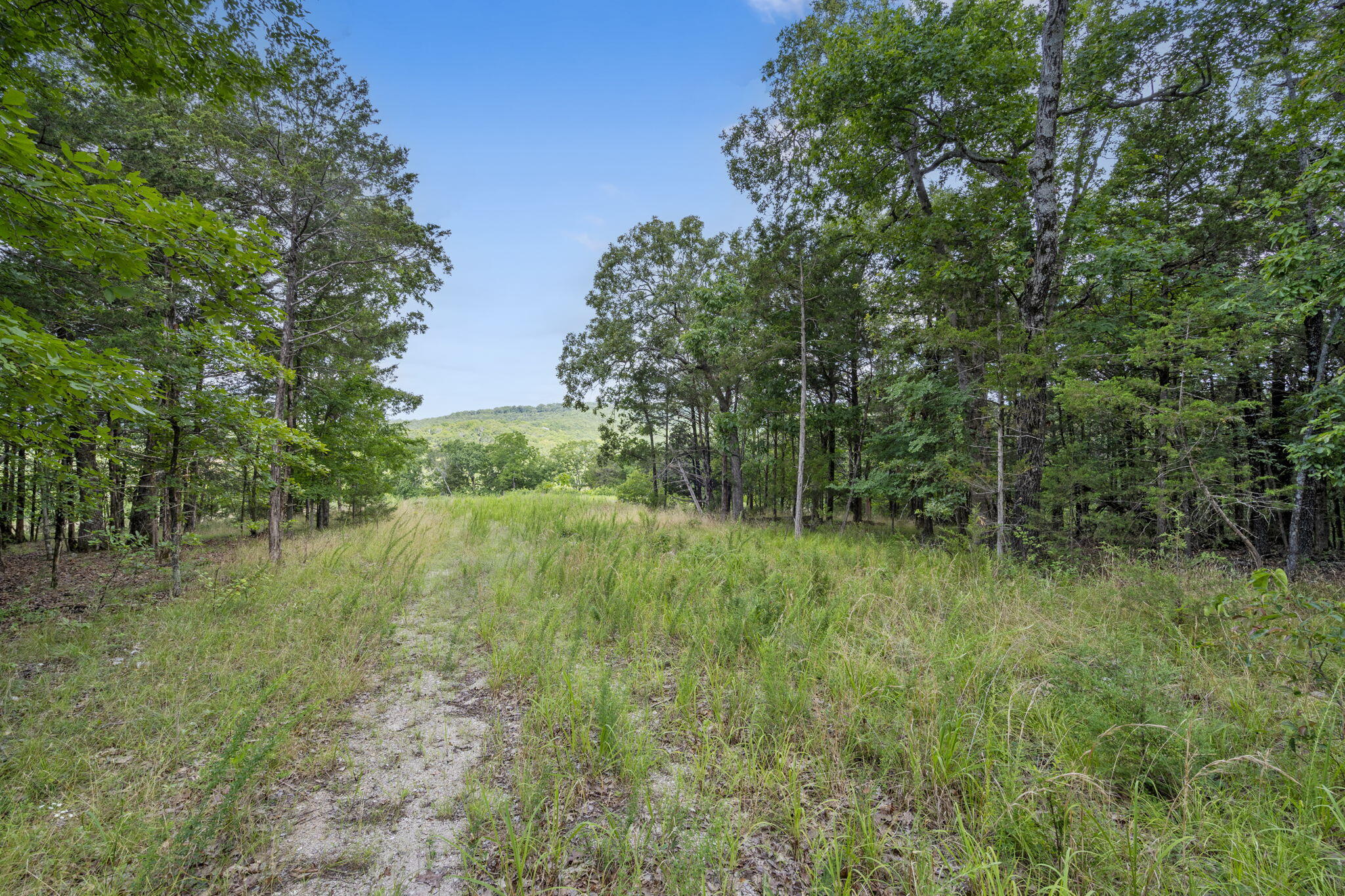 Photo 10 - Land for sale – Tbd  Luke Street  Branson West, MO