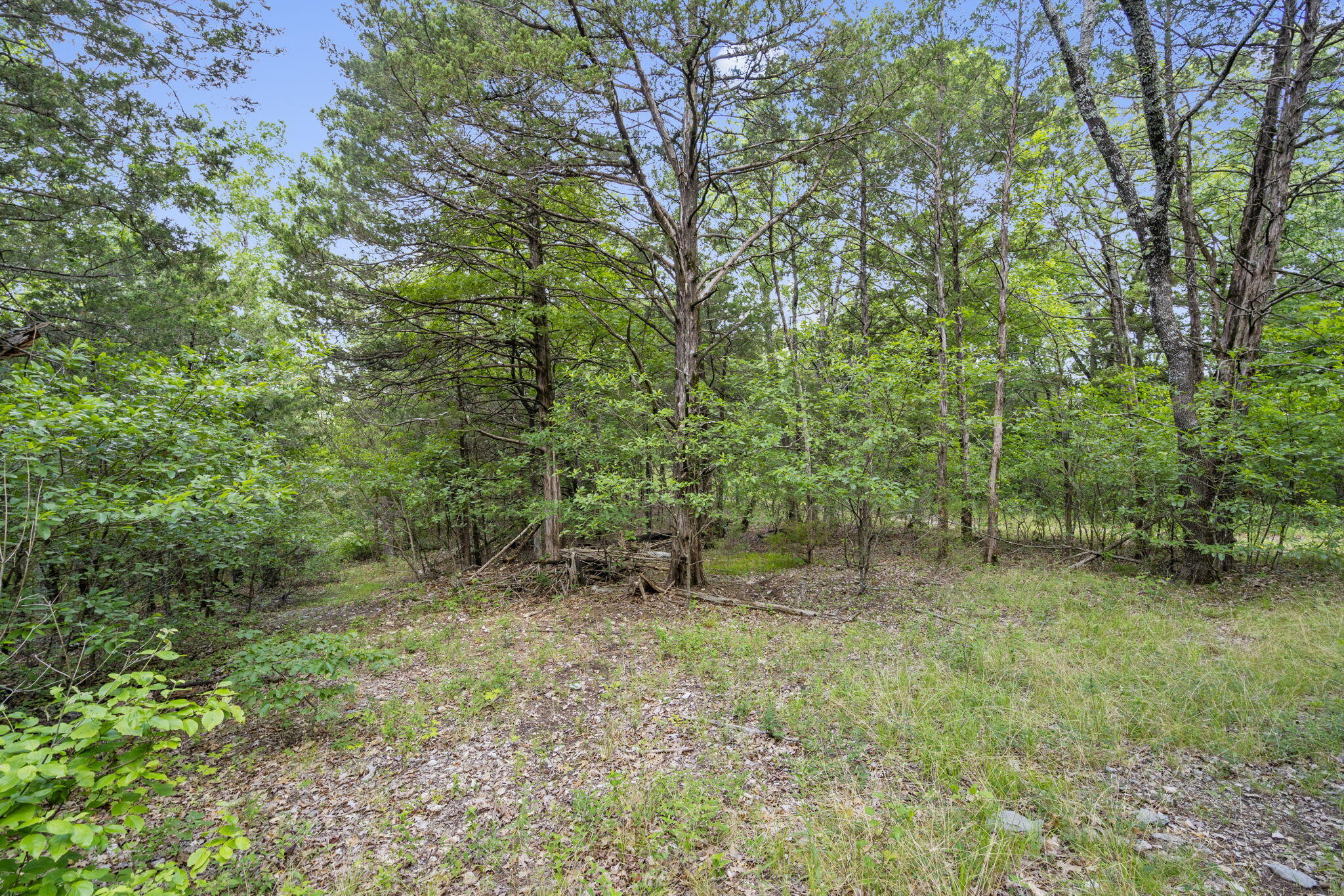 Photo 27 - Land for sale – Tbd  Luke Street  Branson West, MO