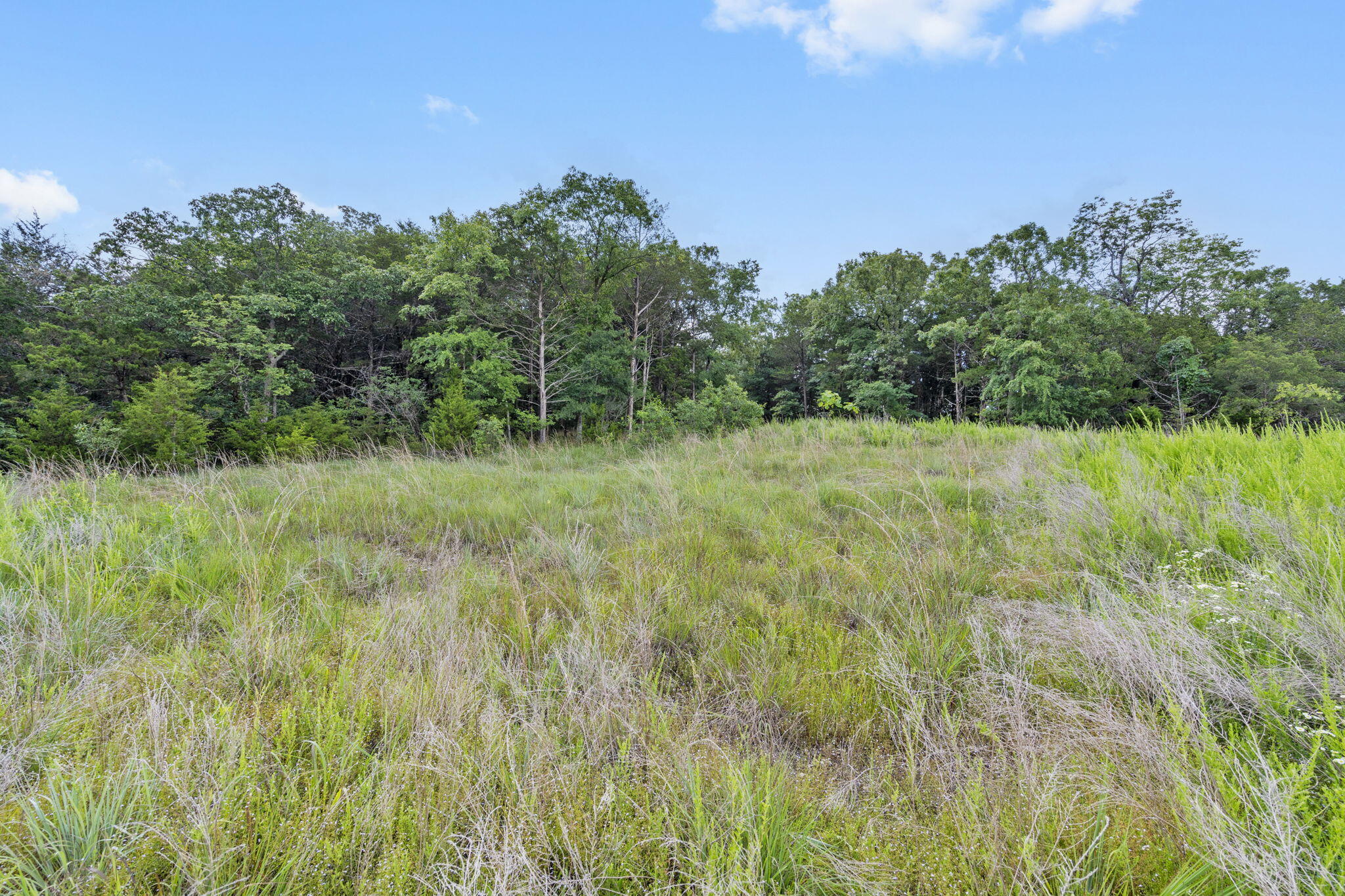 Photo 25 - Land for sale – Tbd  Luke Street  Branson West, MO